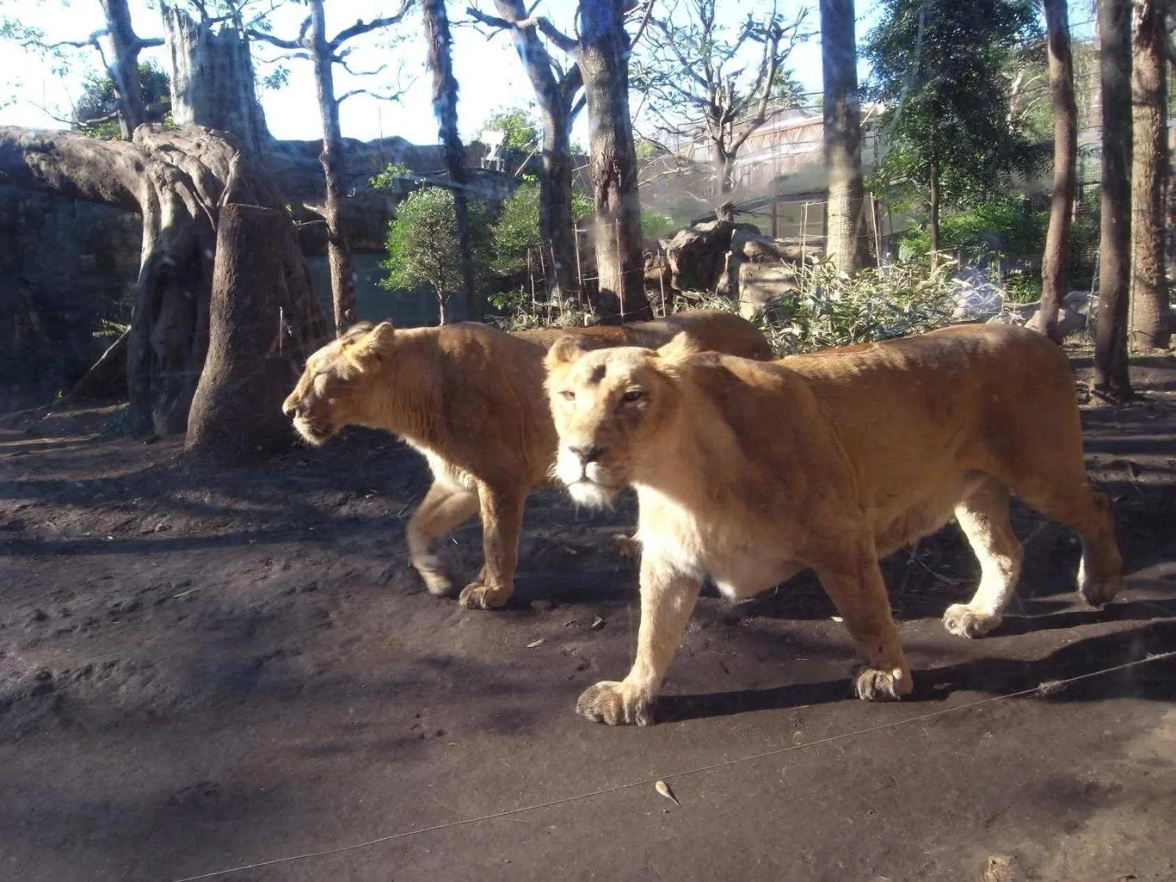 Nearby landmark in Hotel Wing International Select Ueno Okachimachi