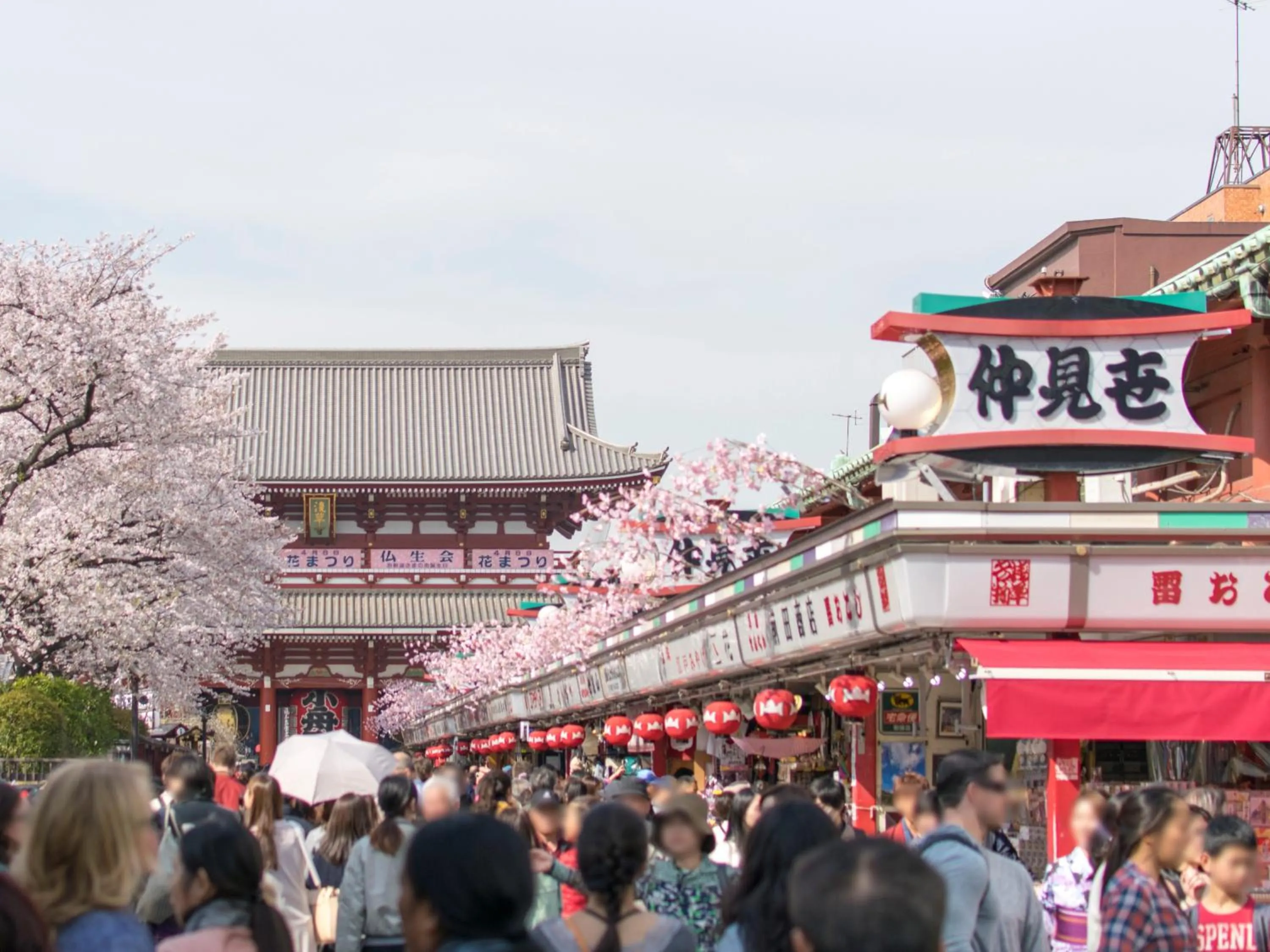 Nearby landmark in Hotel Wing International Select Ueno Okachimachi