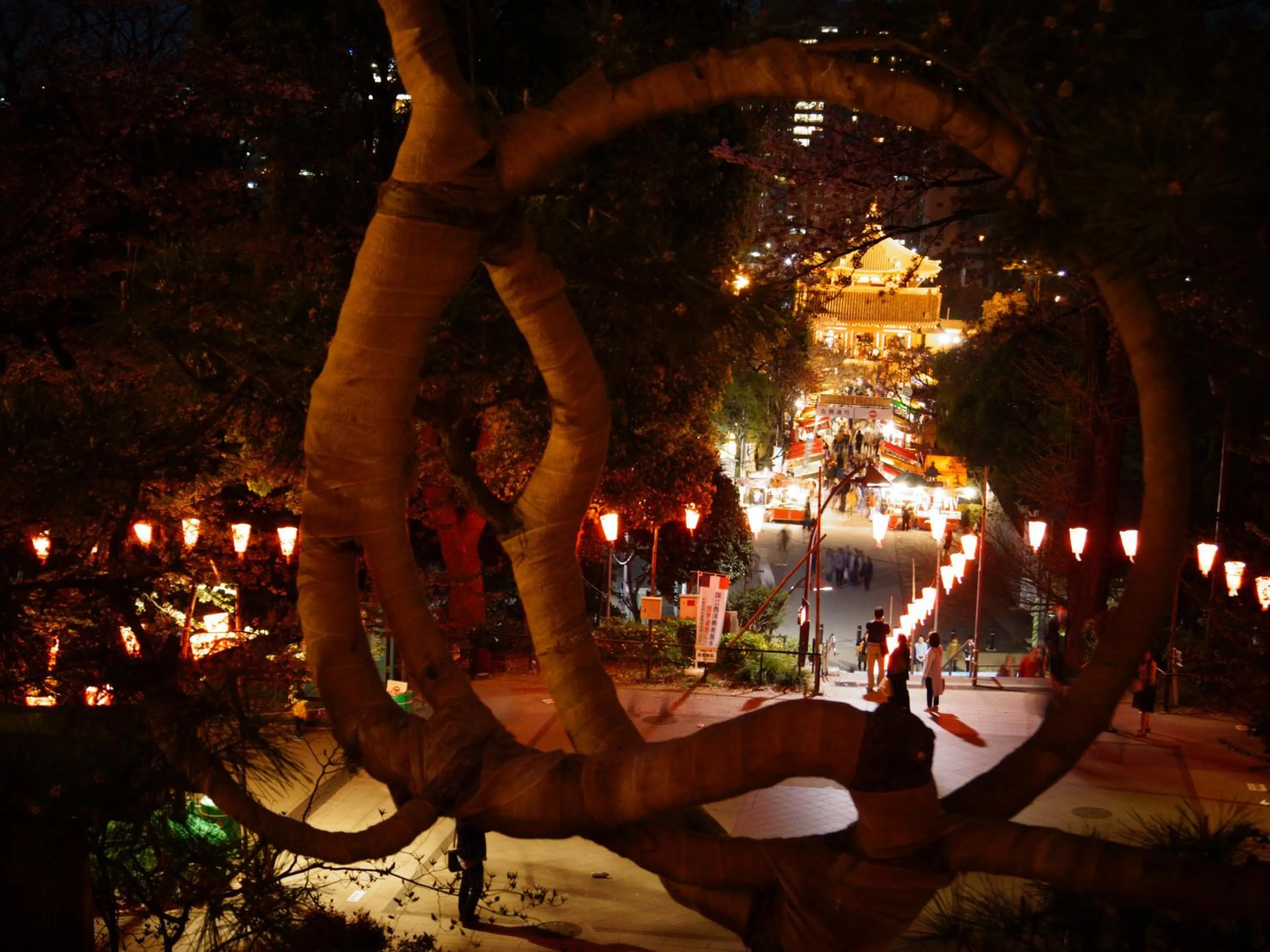 Nearby landmark in Hotel Wing International Select Ueno Okachimachi