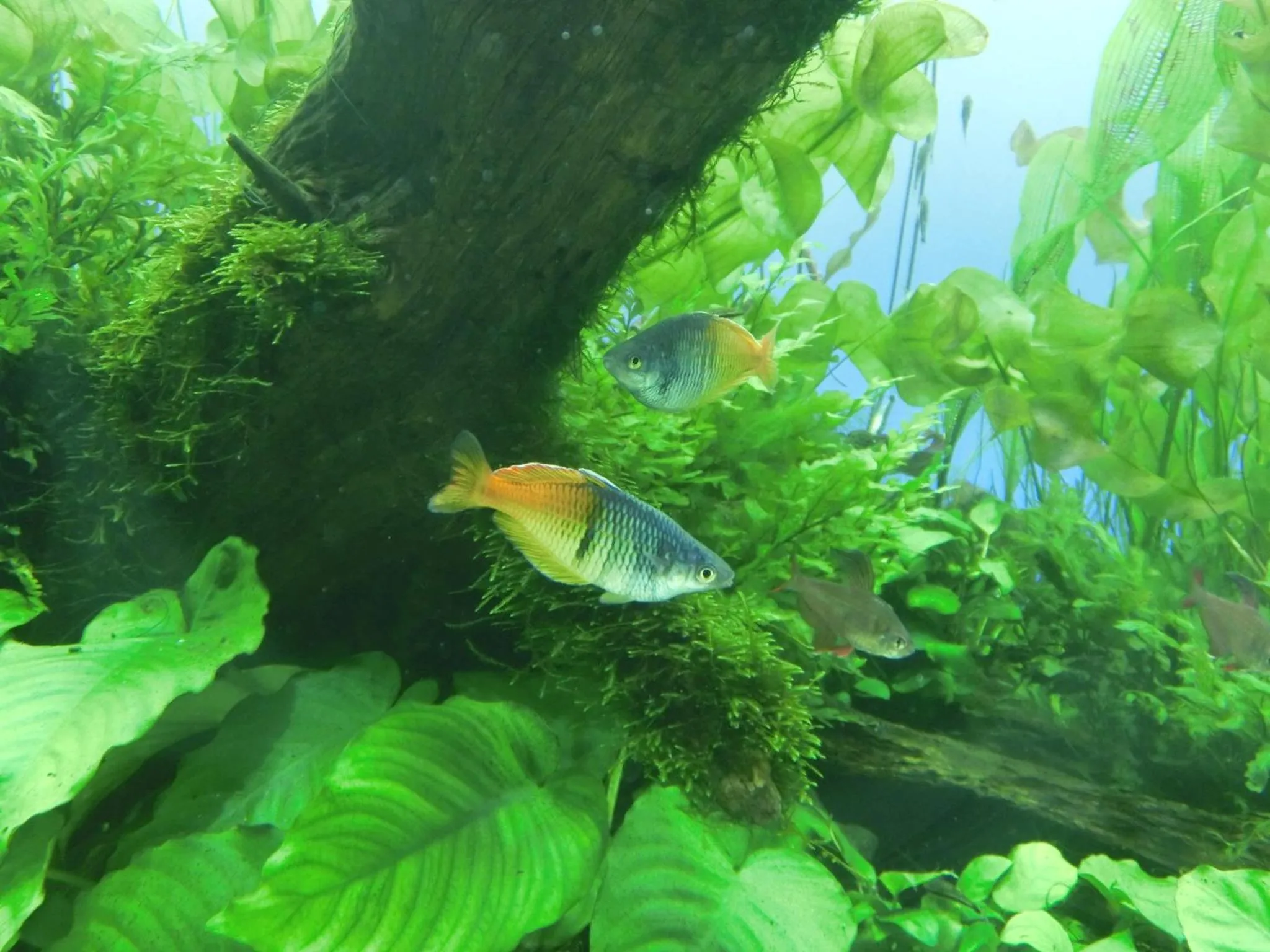 Nearby landmark in Hotel Wing International Select Ueno Okachimachi