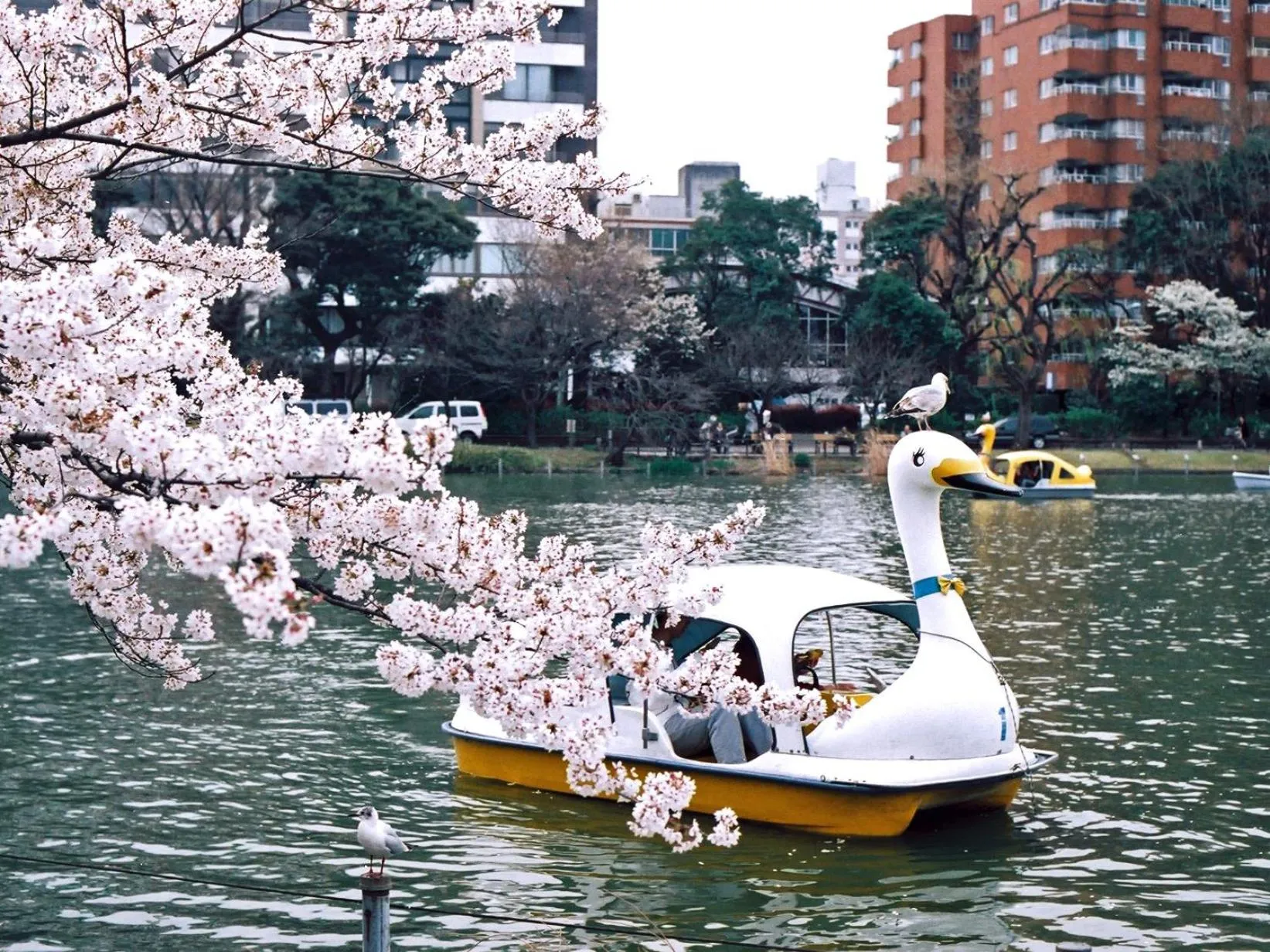 Nearby landmark in Hotel Wing International Select Ueno Okachimachi