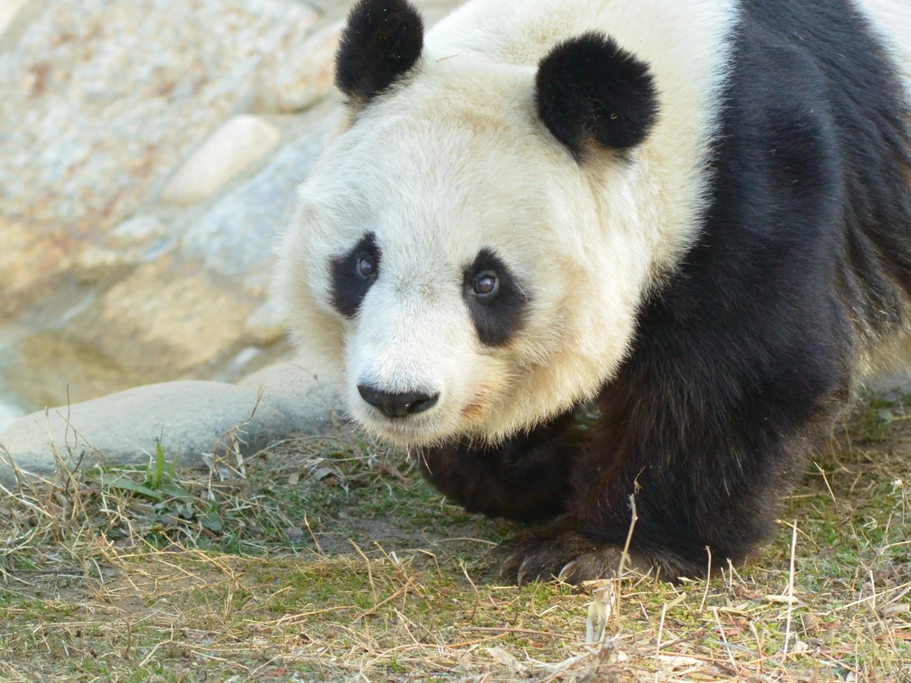 Nearby landmark in Hotel Wing International Select Ueno Okachimachi