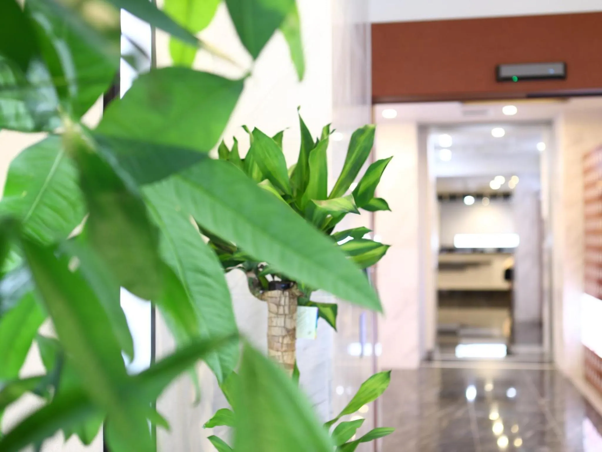 Lobby or reception in Hotel Wing International Select Ueno Okachimachi