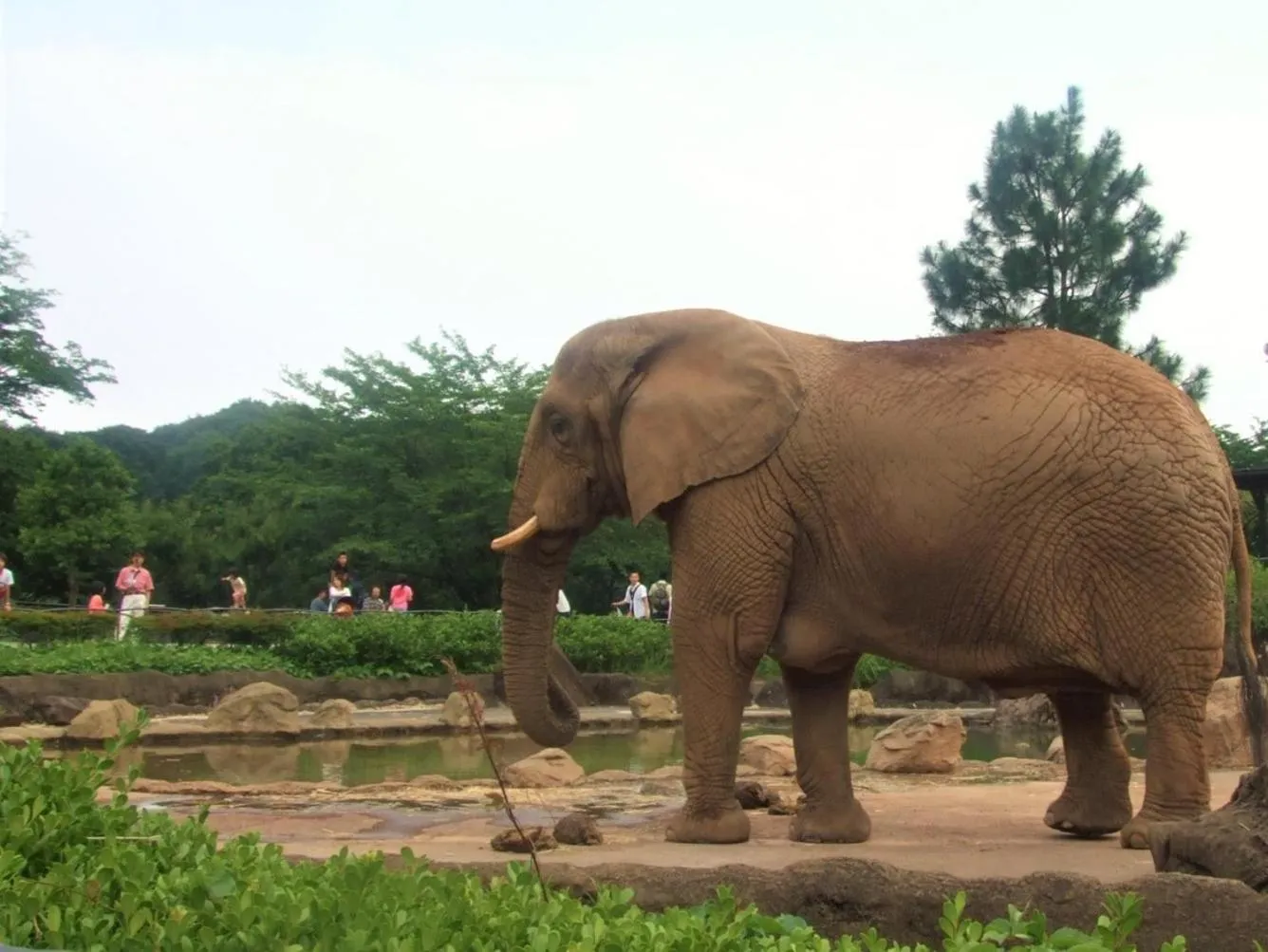 Nearby landmark in Hotel Wing International Select Ueno Okachimachi