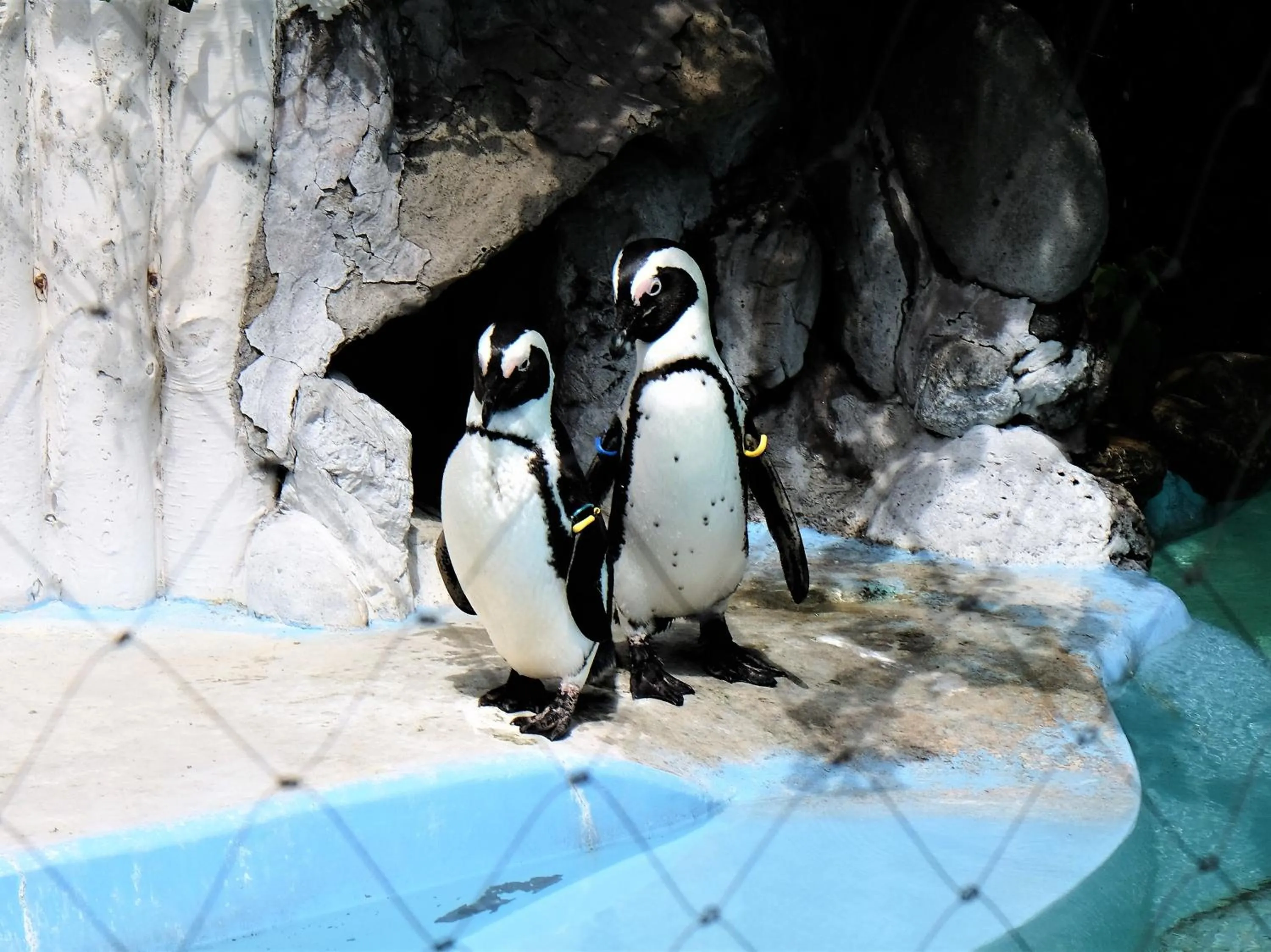 Nearby landmark in Hotel Wing International Select Ueno Okachimachi