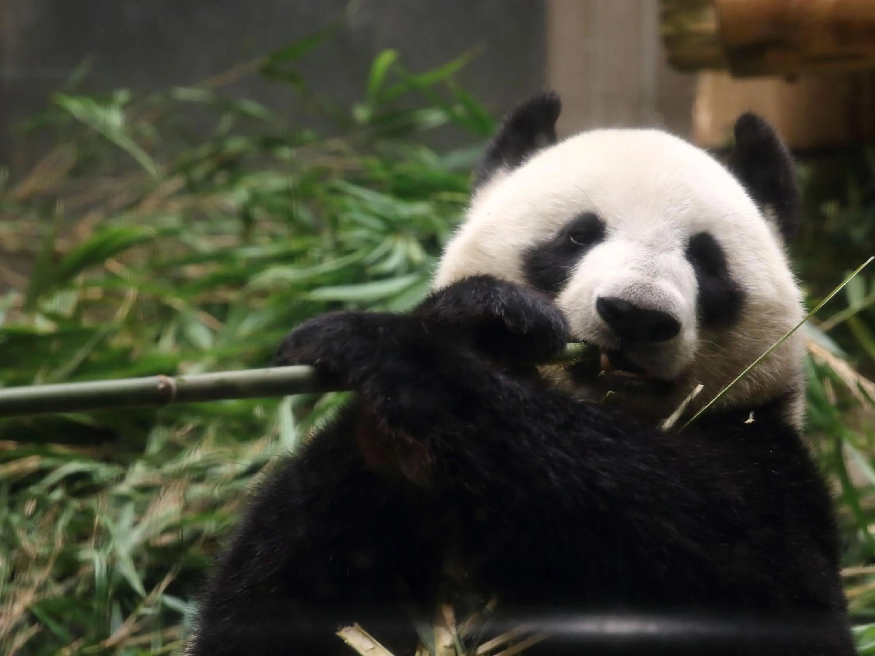 Nearby landmark in Hotel Wing International Select Ueno Okachimachi
