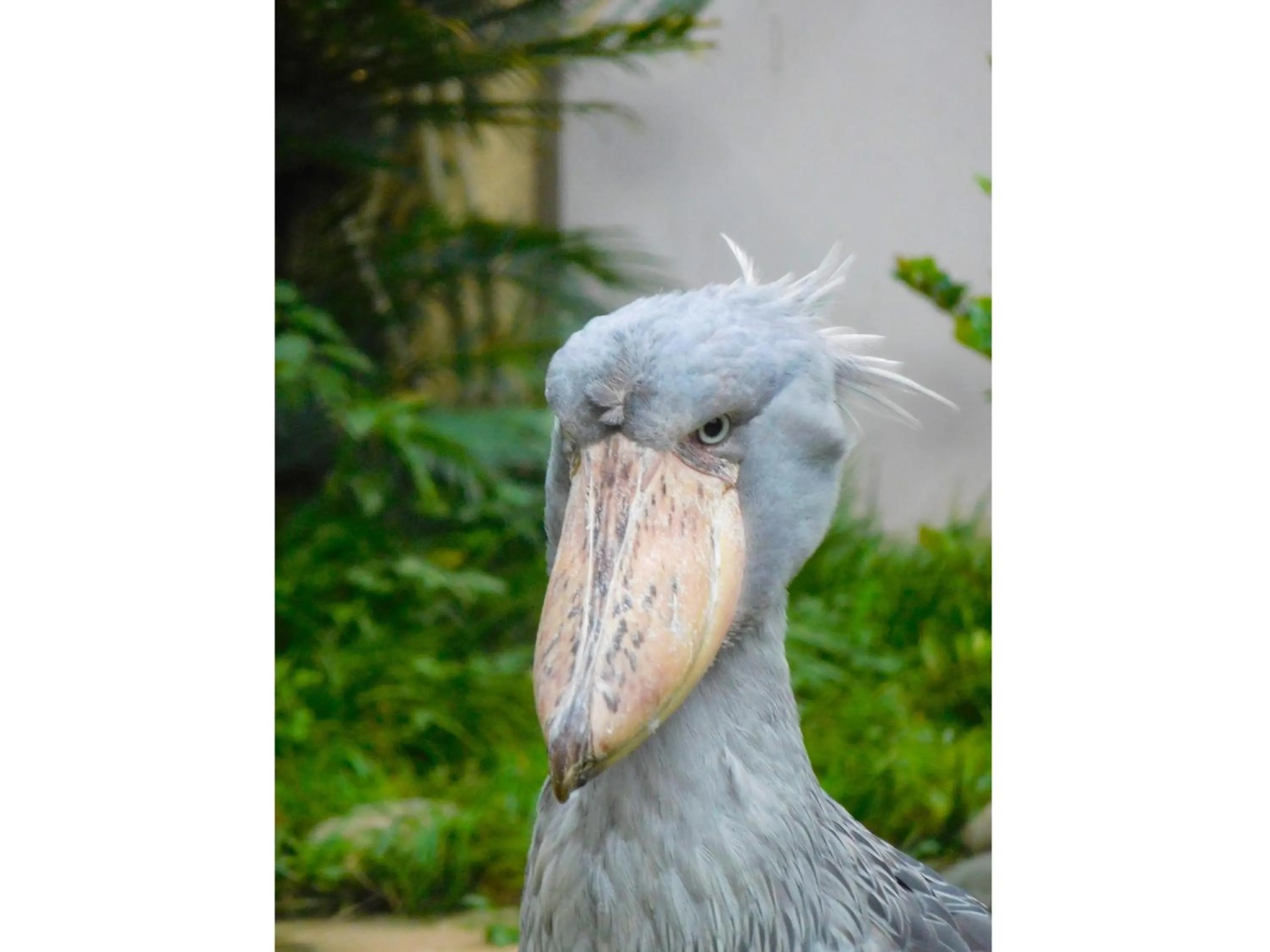 Nearby landmark in Hotel Wing International Select Ueno Okachimachi