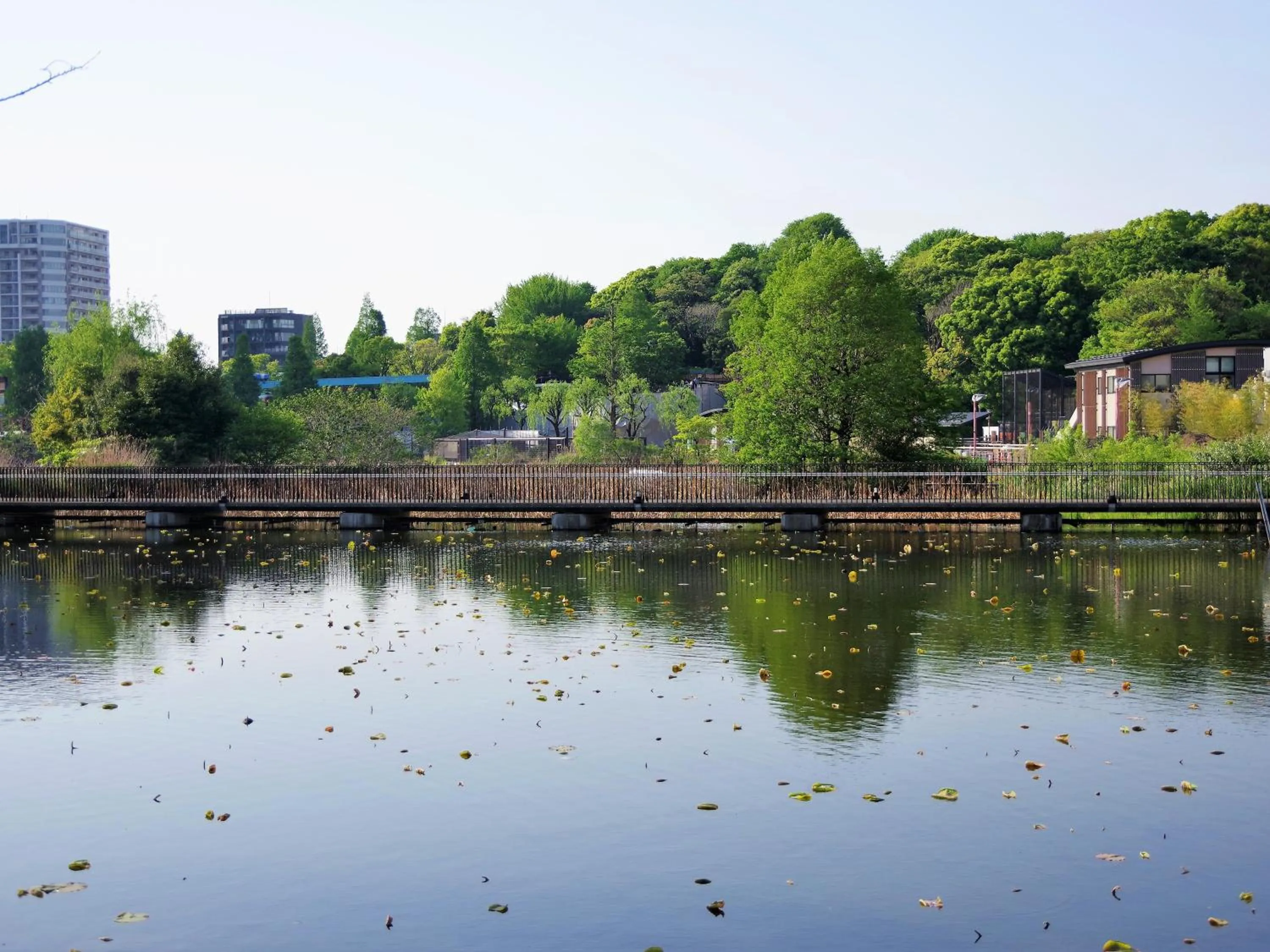 Nearby landmark in Hotel Wing International Select Ueno Okachimachi