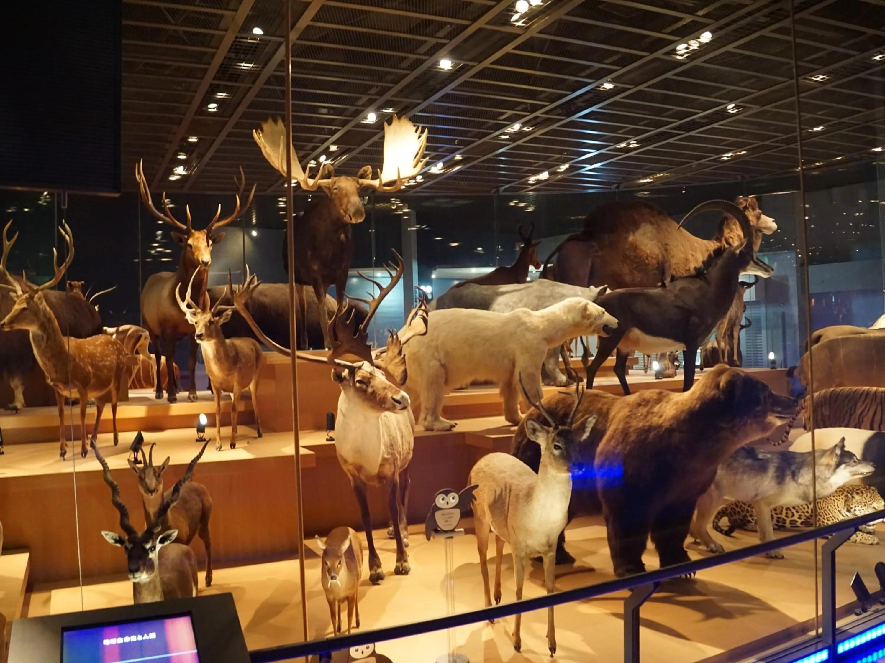 Nearby landmark in Hotel Wing International Select Ueno Okachimachi