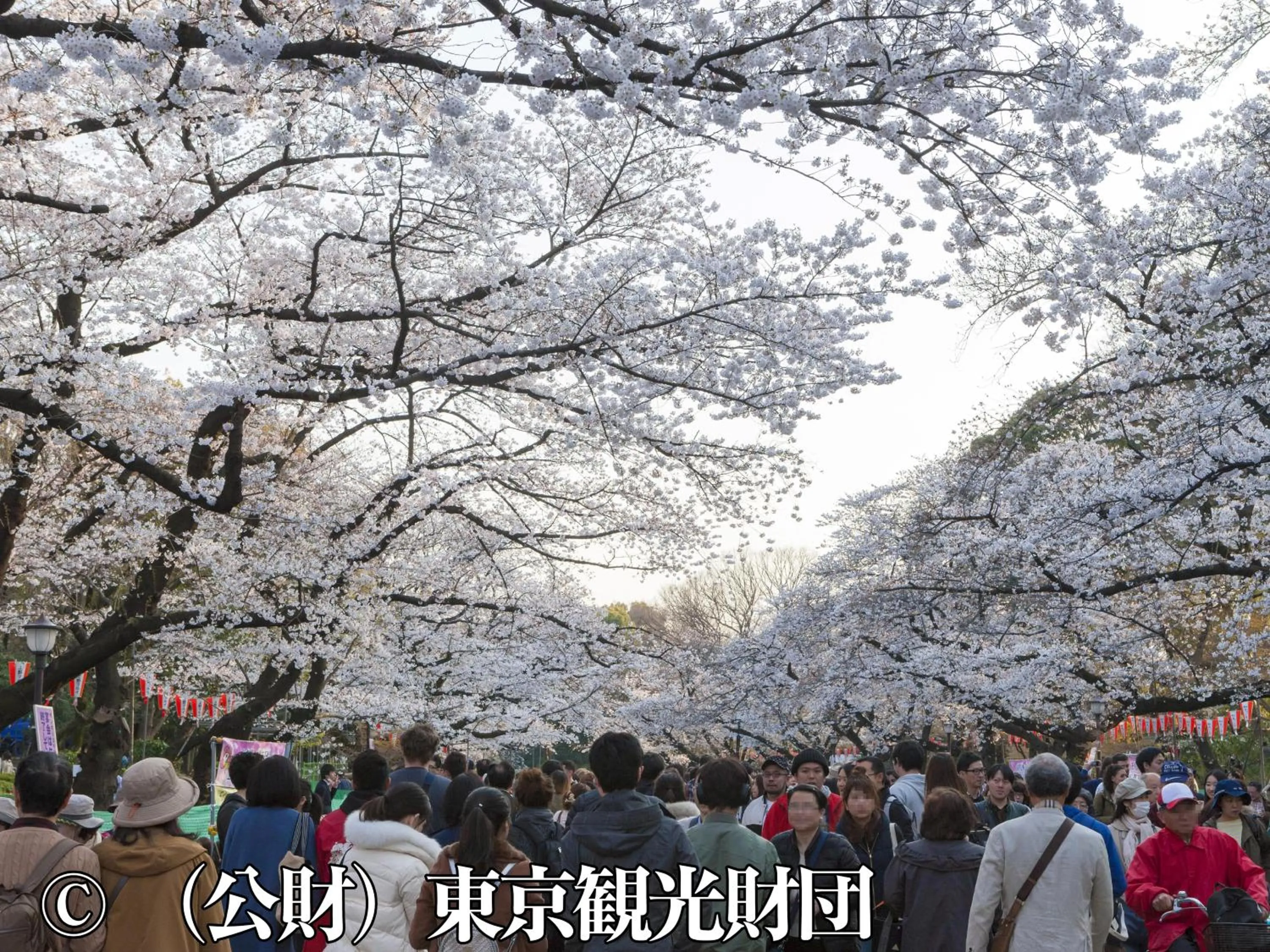 Nearby landmark in Hotel Wing International Select Ueno Okachimachi