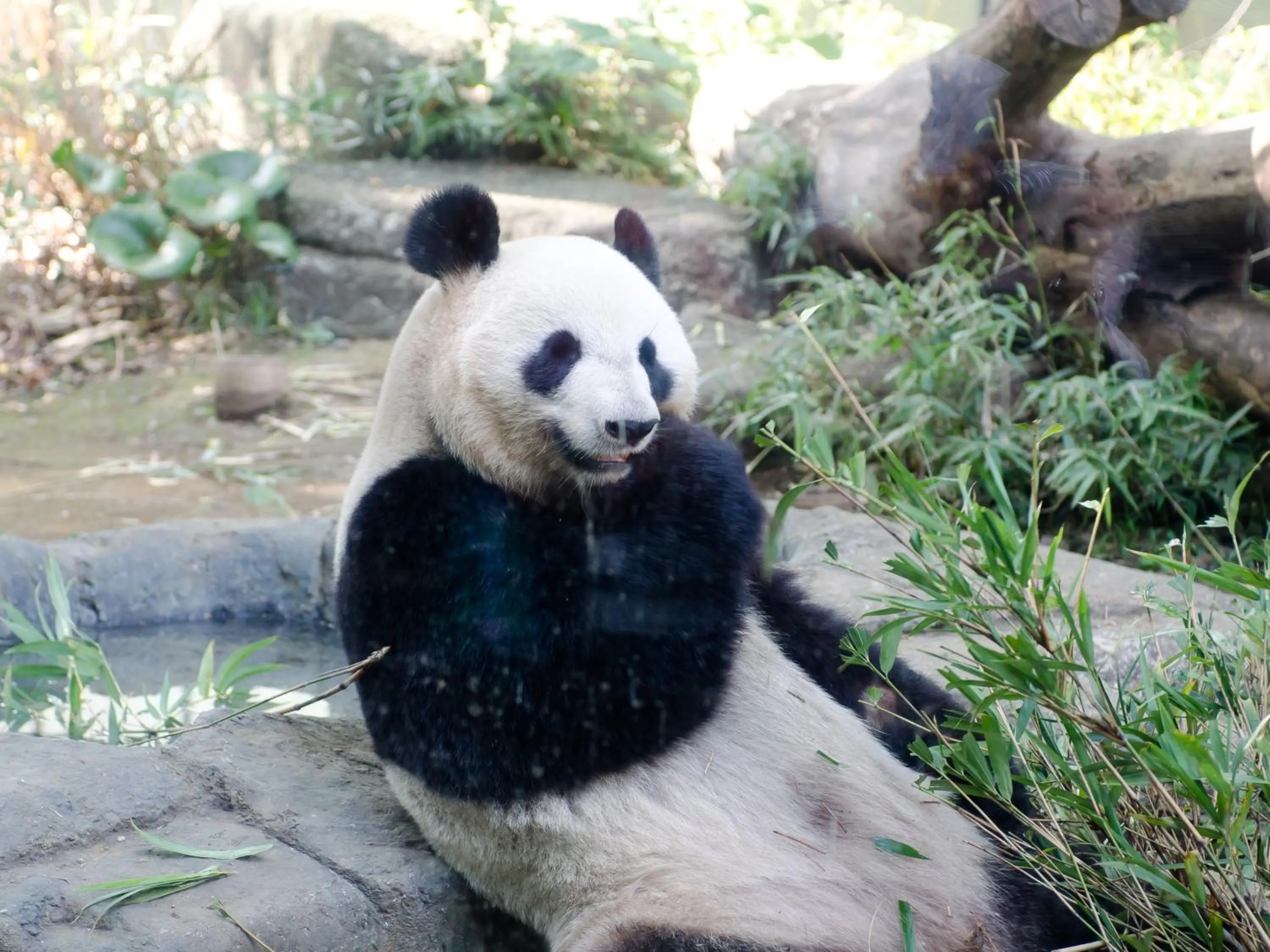Nearby landmark in Hotel Wing International Select Ueno Okachimachi