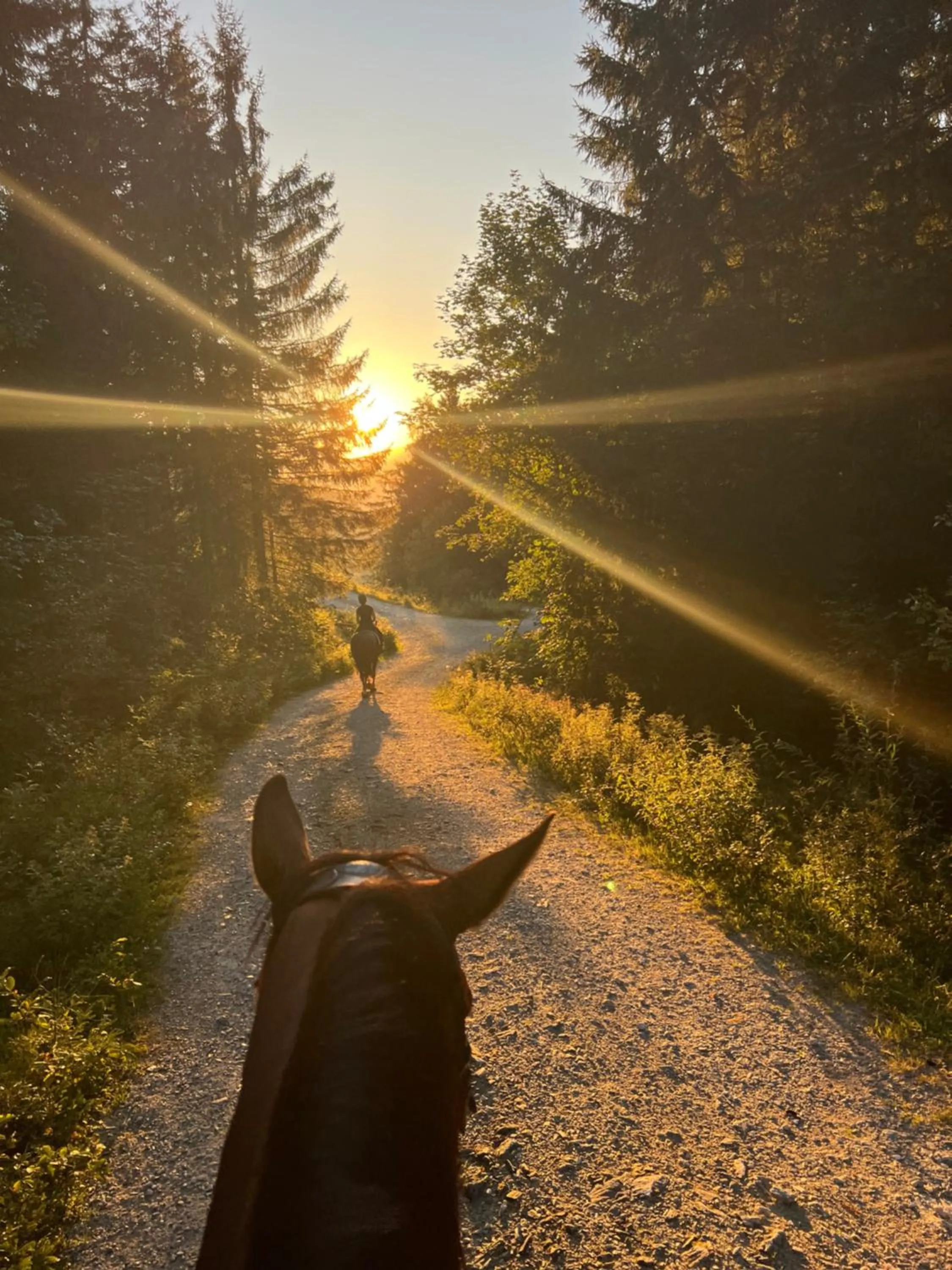 People in Hotel Alpina