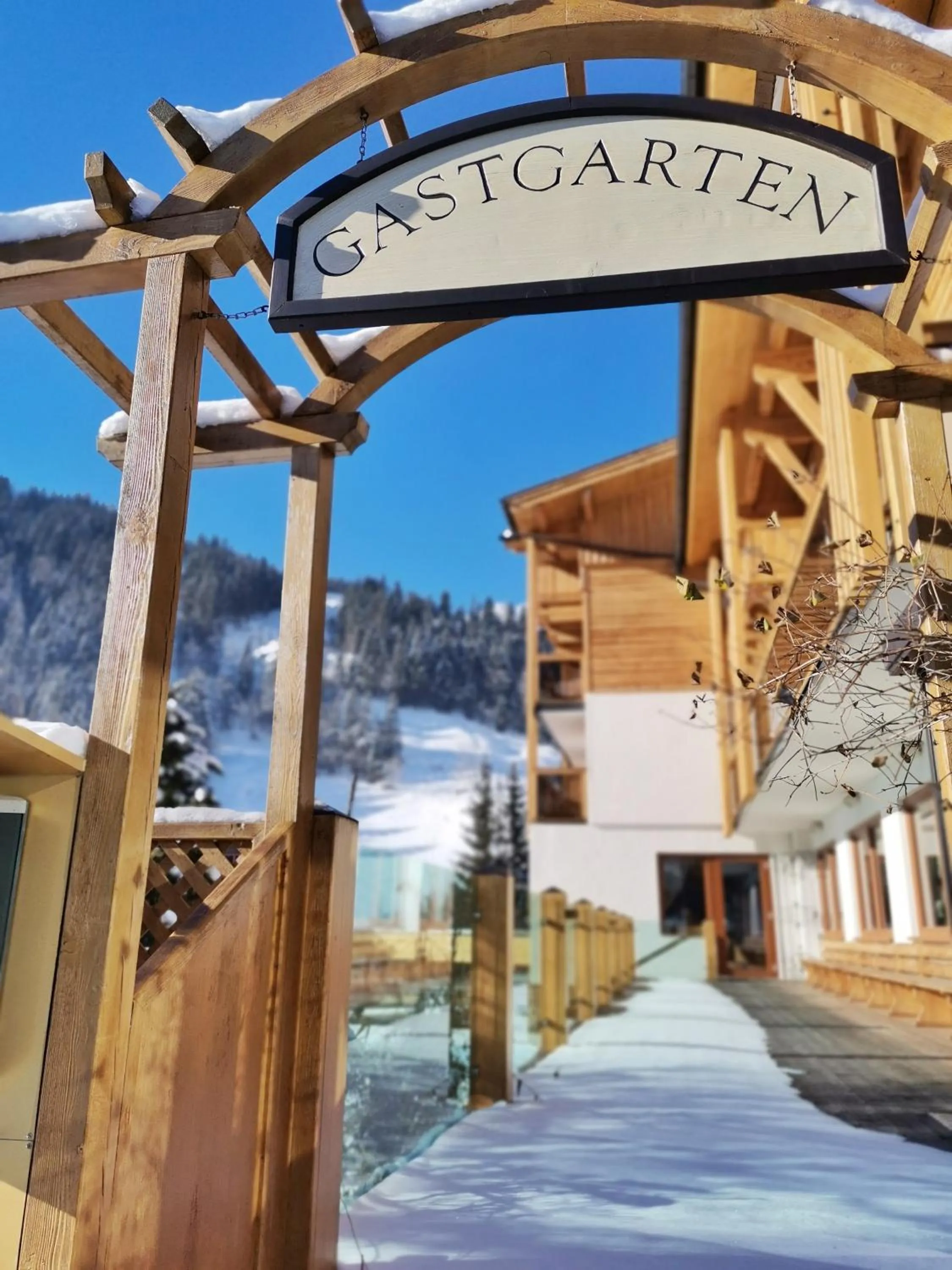 Garden in Hotel Alpina