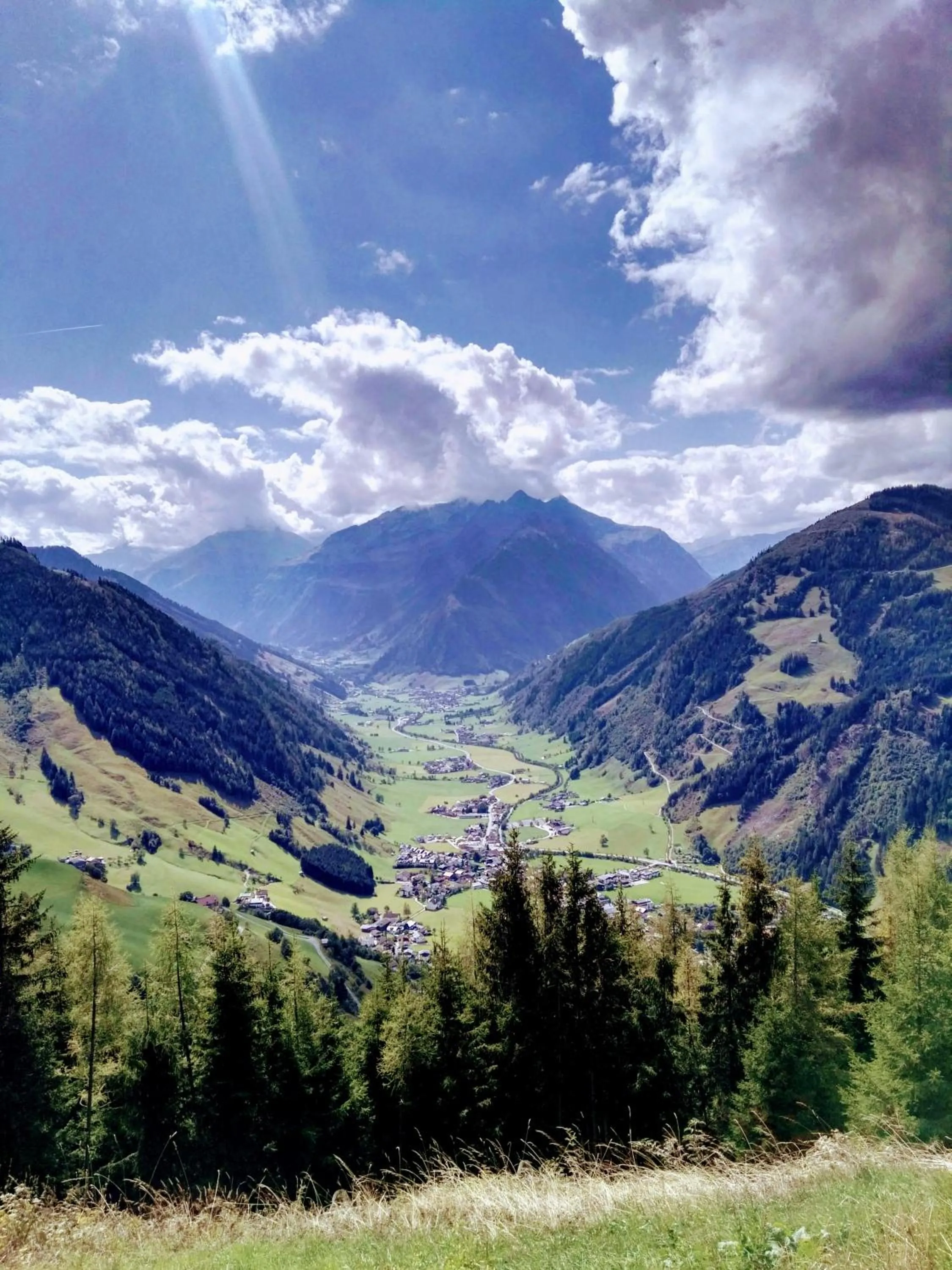Natural landscape in Hotel Alpina