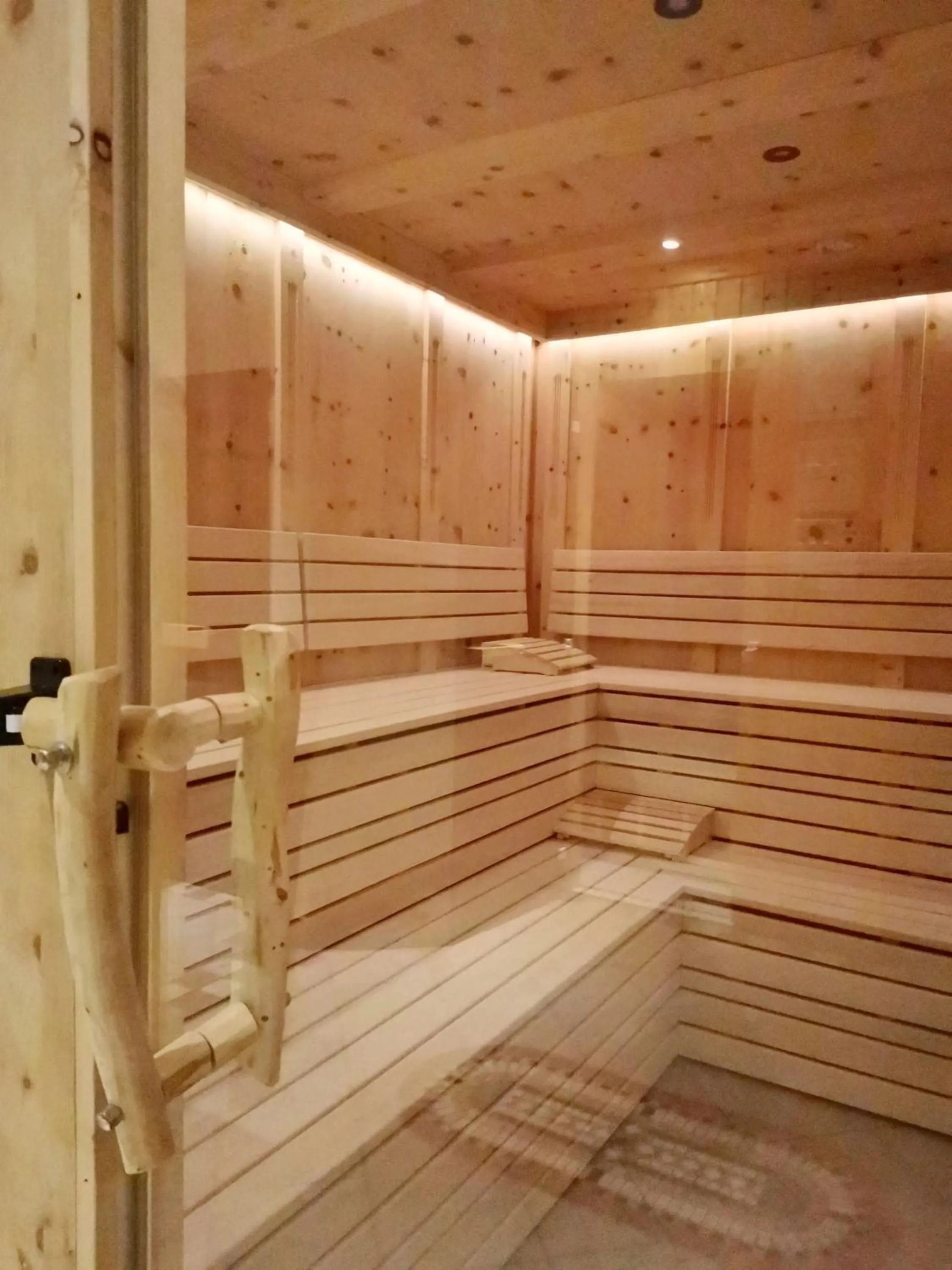 Sauna in Hotel Alpina