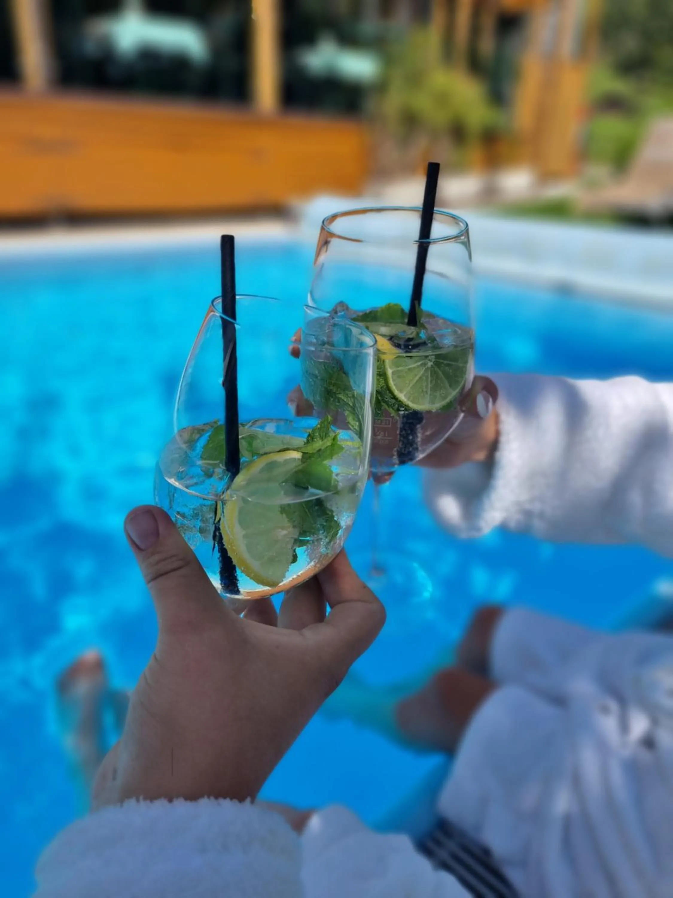 Balcony/Terrace in Hotel Alpina
