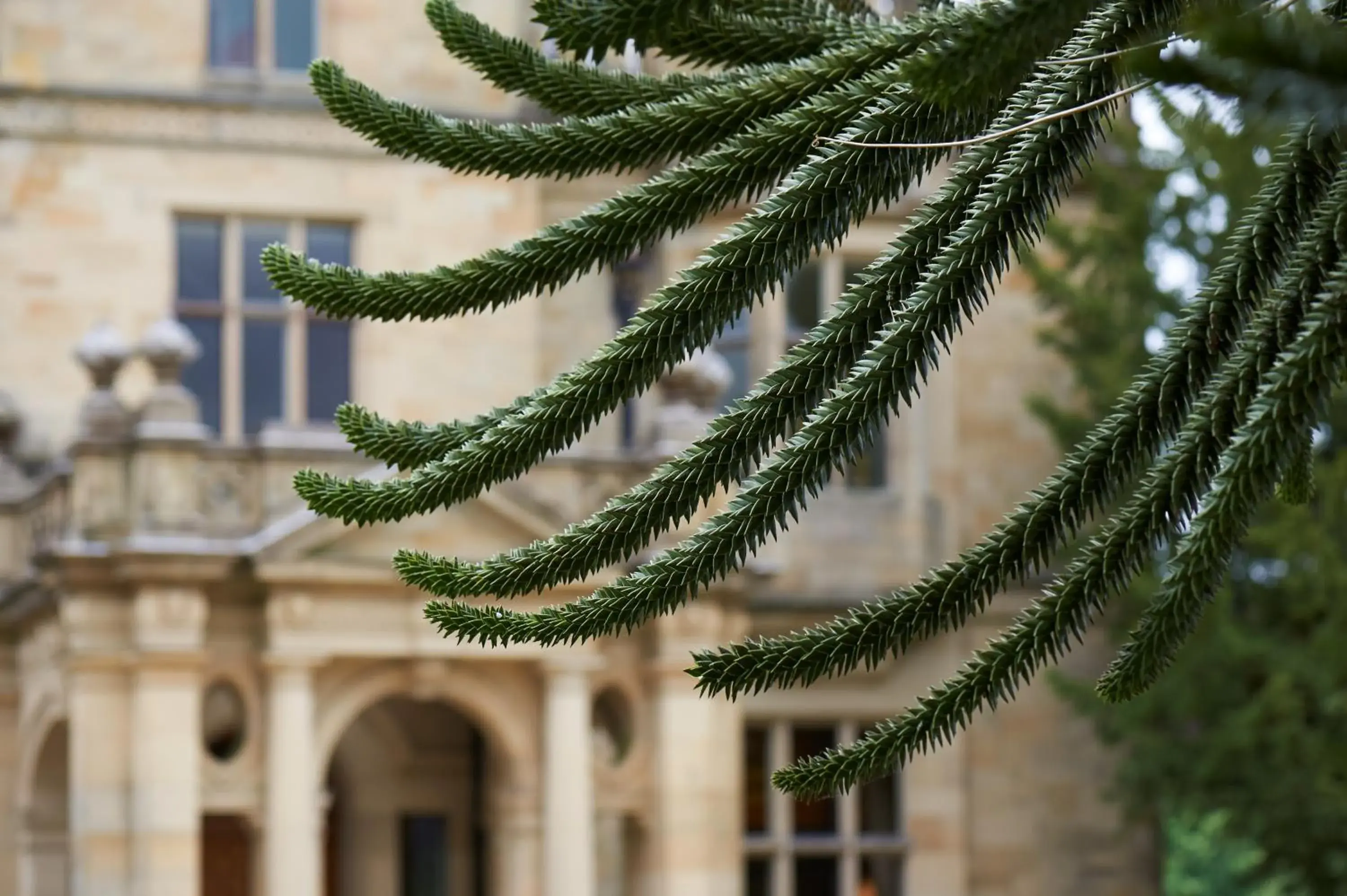 Facade/entrance in Palé Hall Facade/entrance in Palé Hall