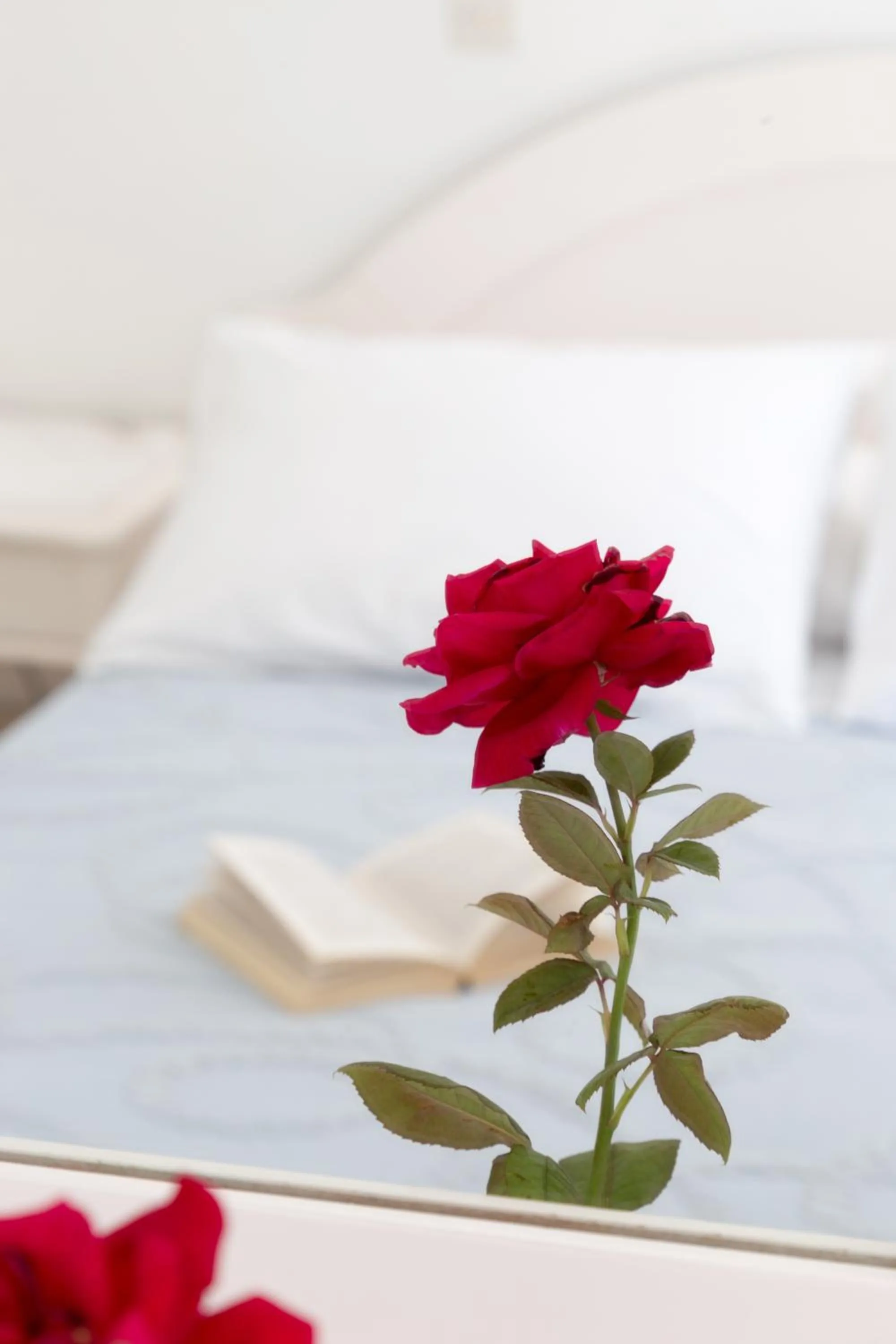 Decorative detail in Areti Hotel