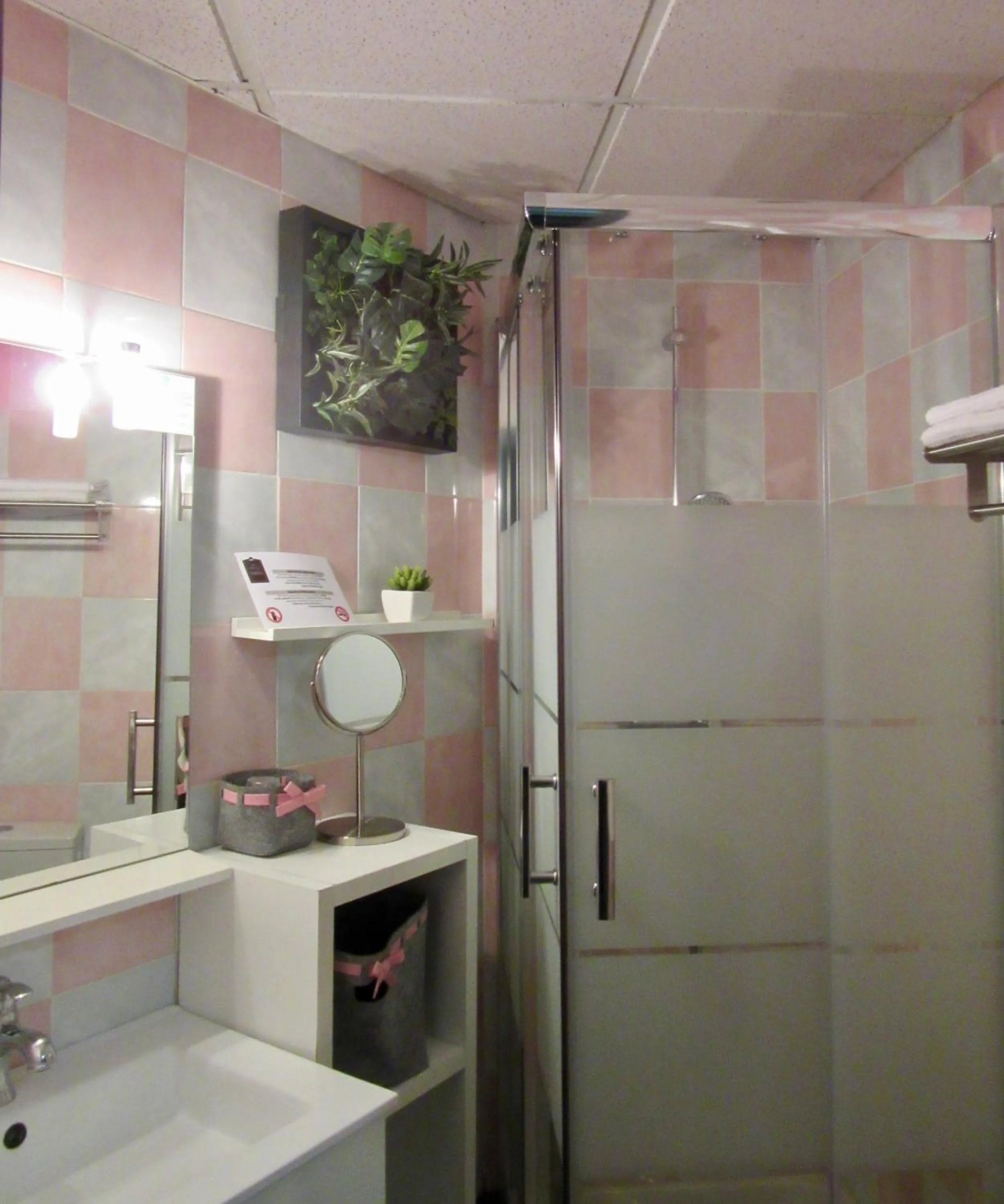 Shower in Logis Hôtel des Causses