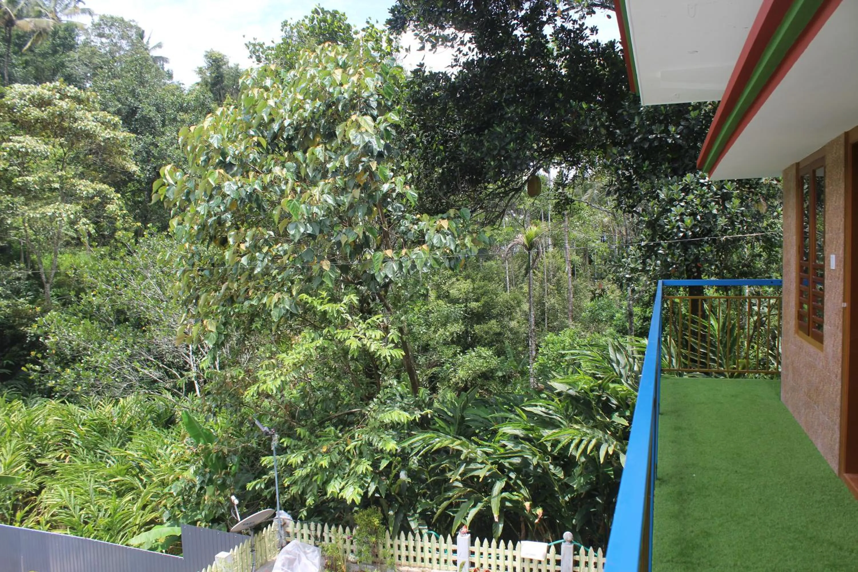 Natural landscape in Arabian Nights Munnar Pool Villa