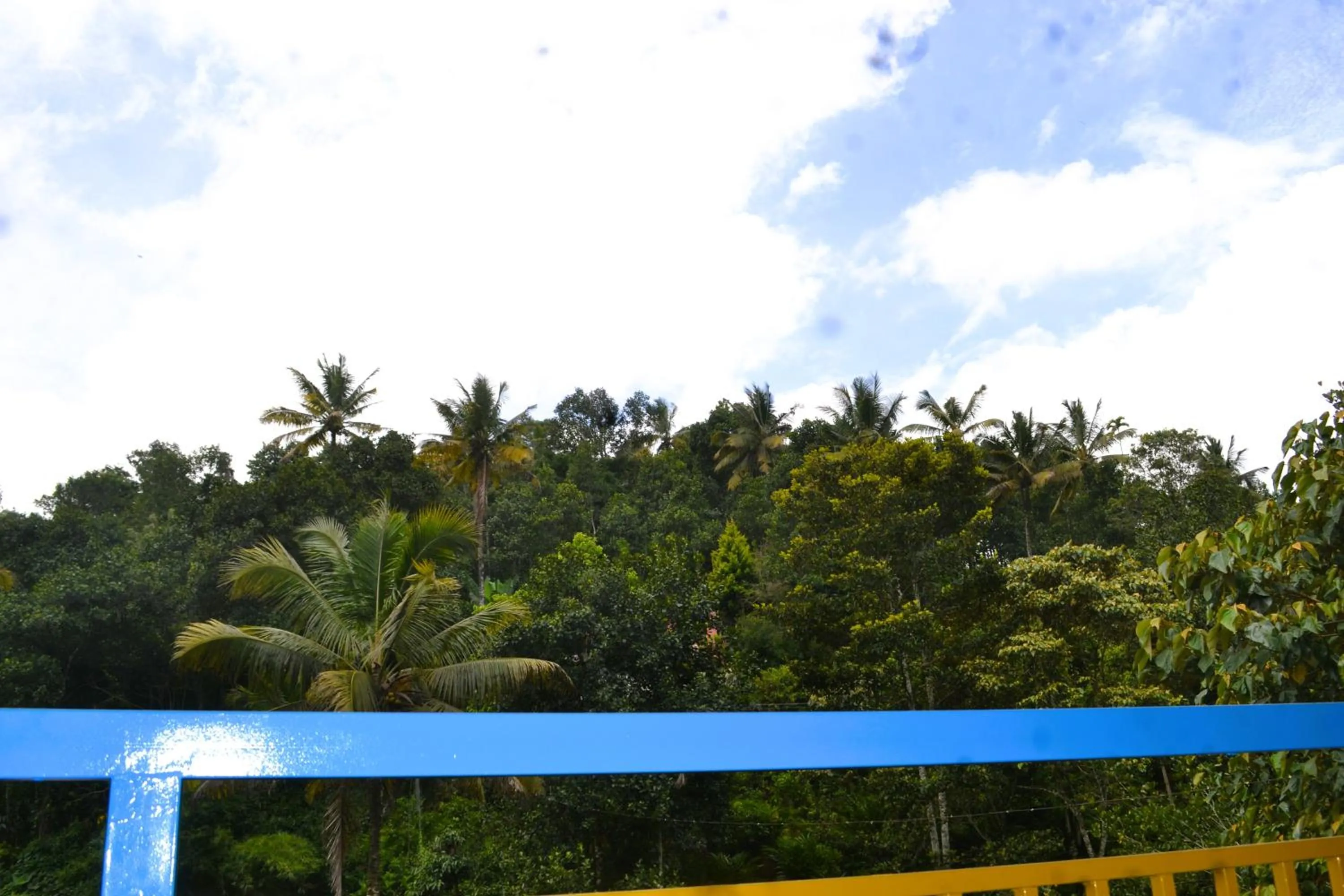 Neighbourhood in Arabian Nights Munnar Pool Villa