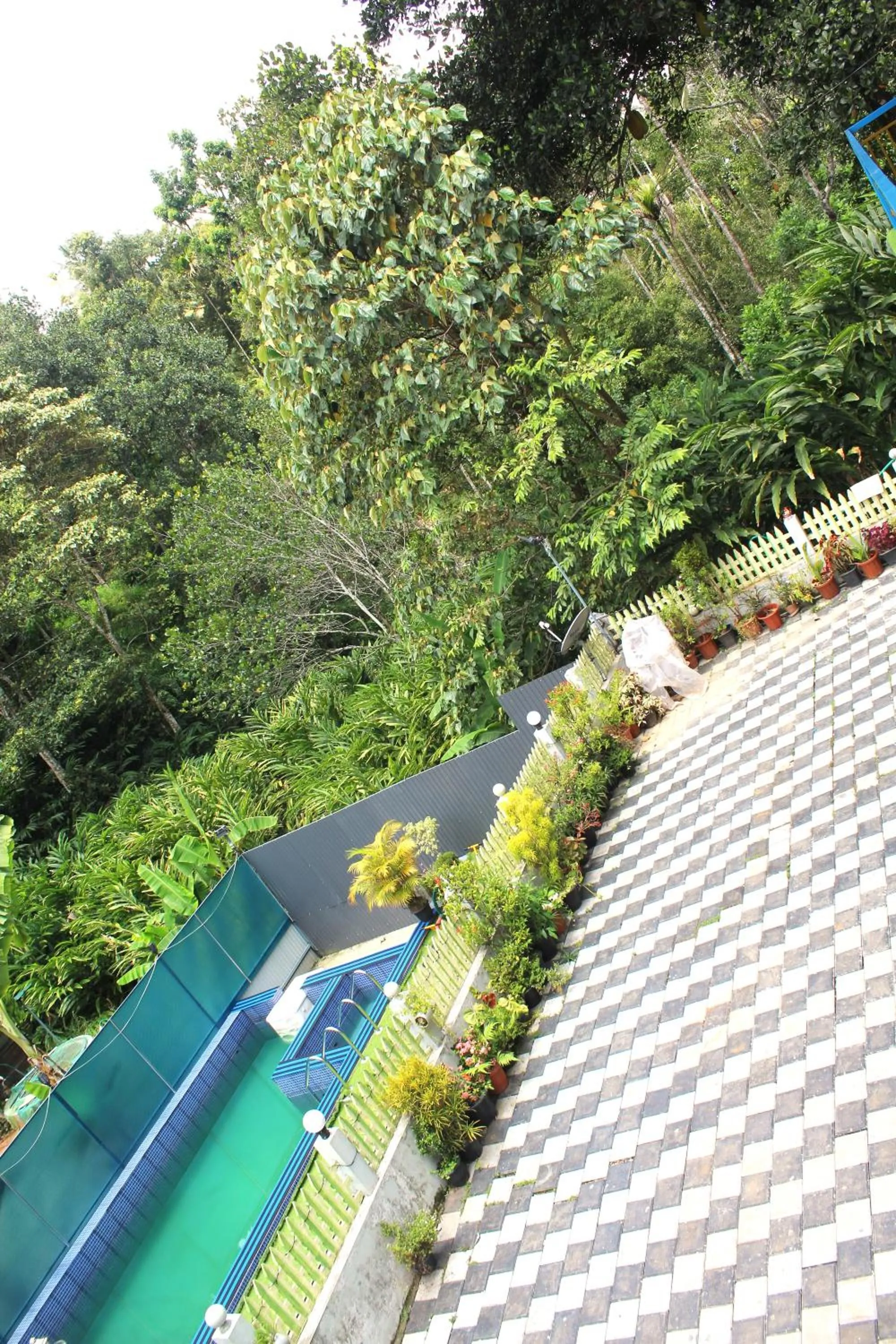 Garden view in Arabian Nights Munnar Pool Villa
