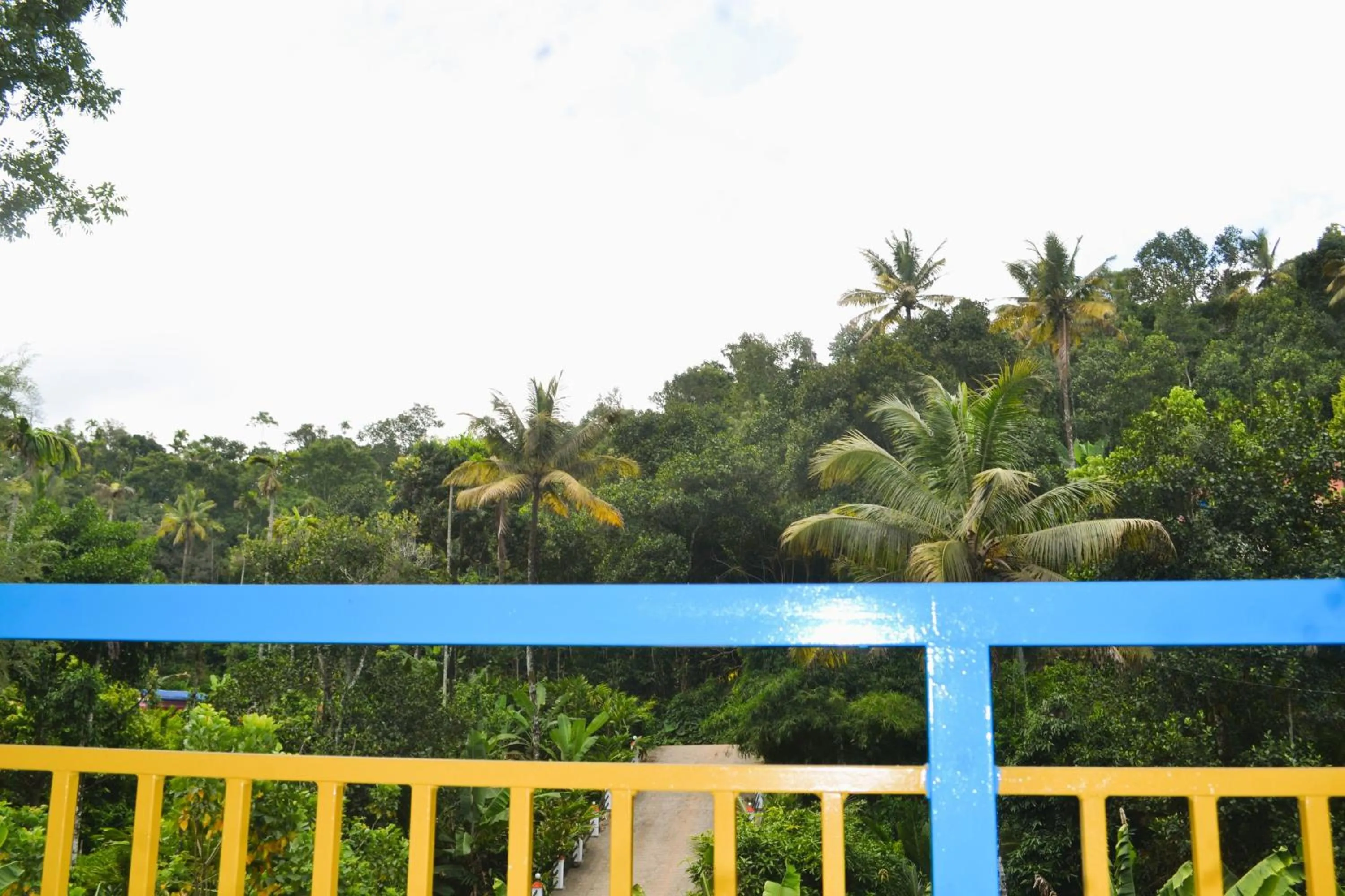 Neighbourhood in Arabian Nights Munnar Pool Villa