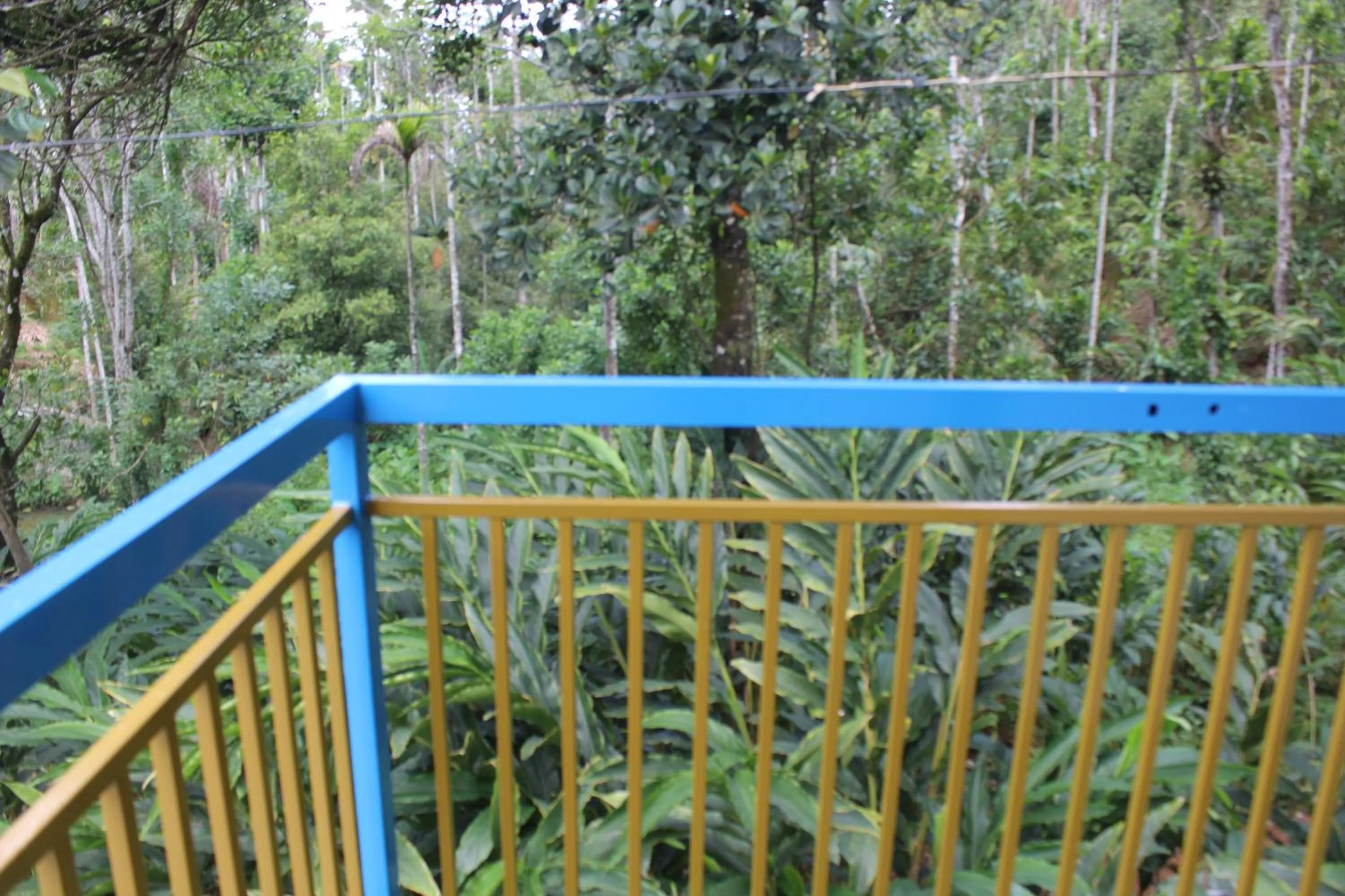 Day in Arabian Nights Munnar Pool Villa