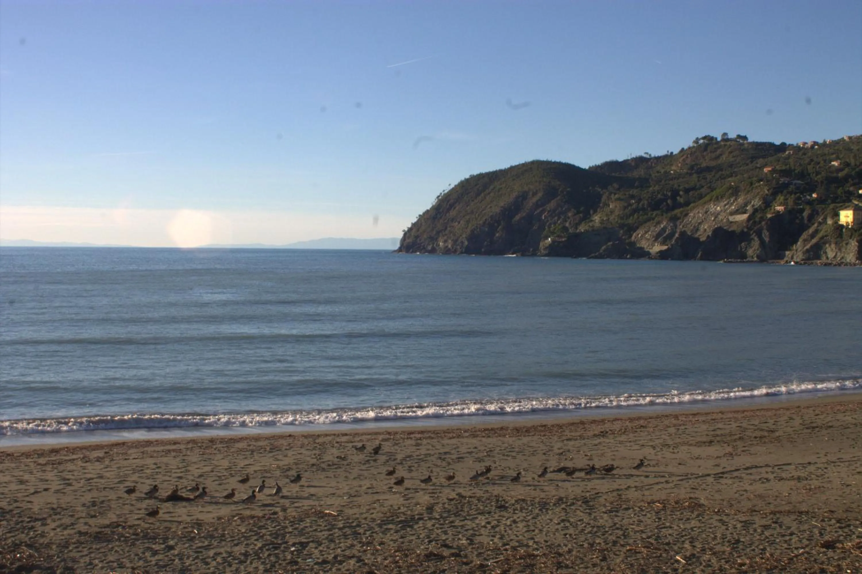 Beach in Affittacamere LevantoMare