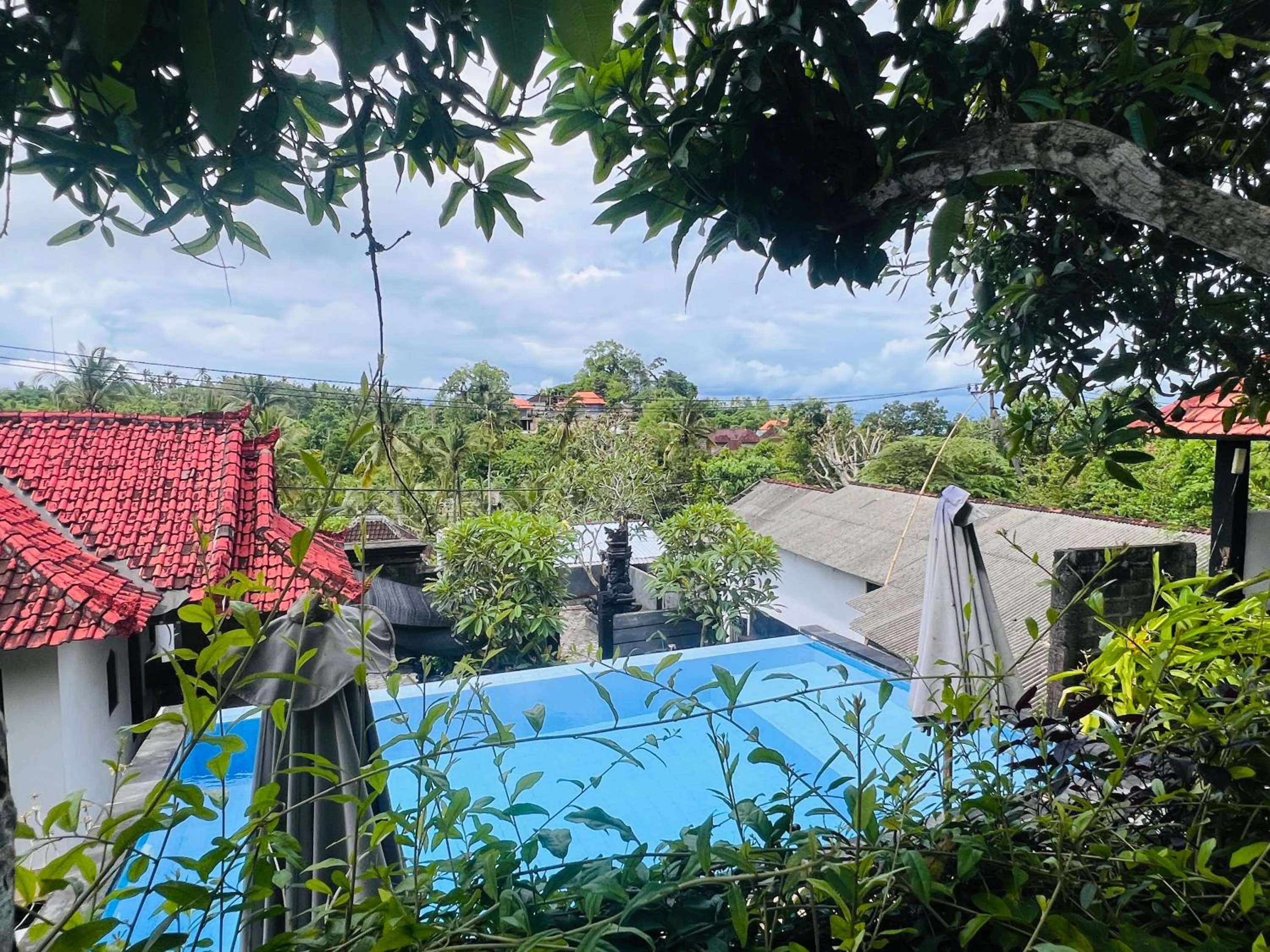 Natural landscape in Lime Penida Cottages