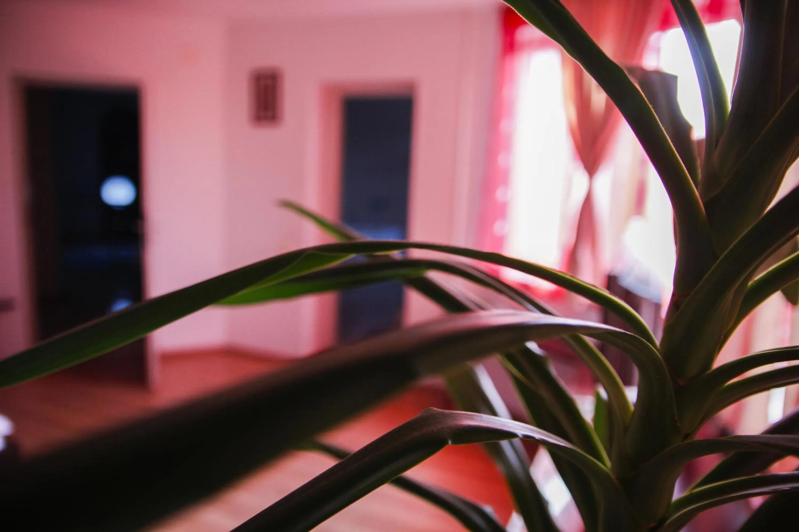 Decorative detail in Villa Grande