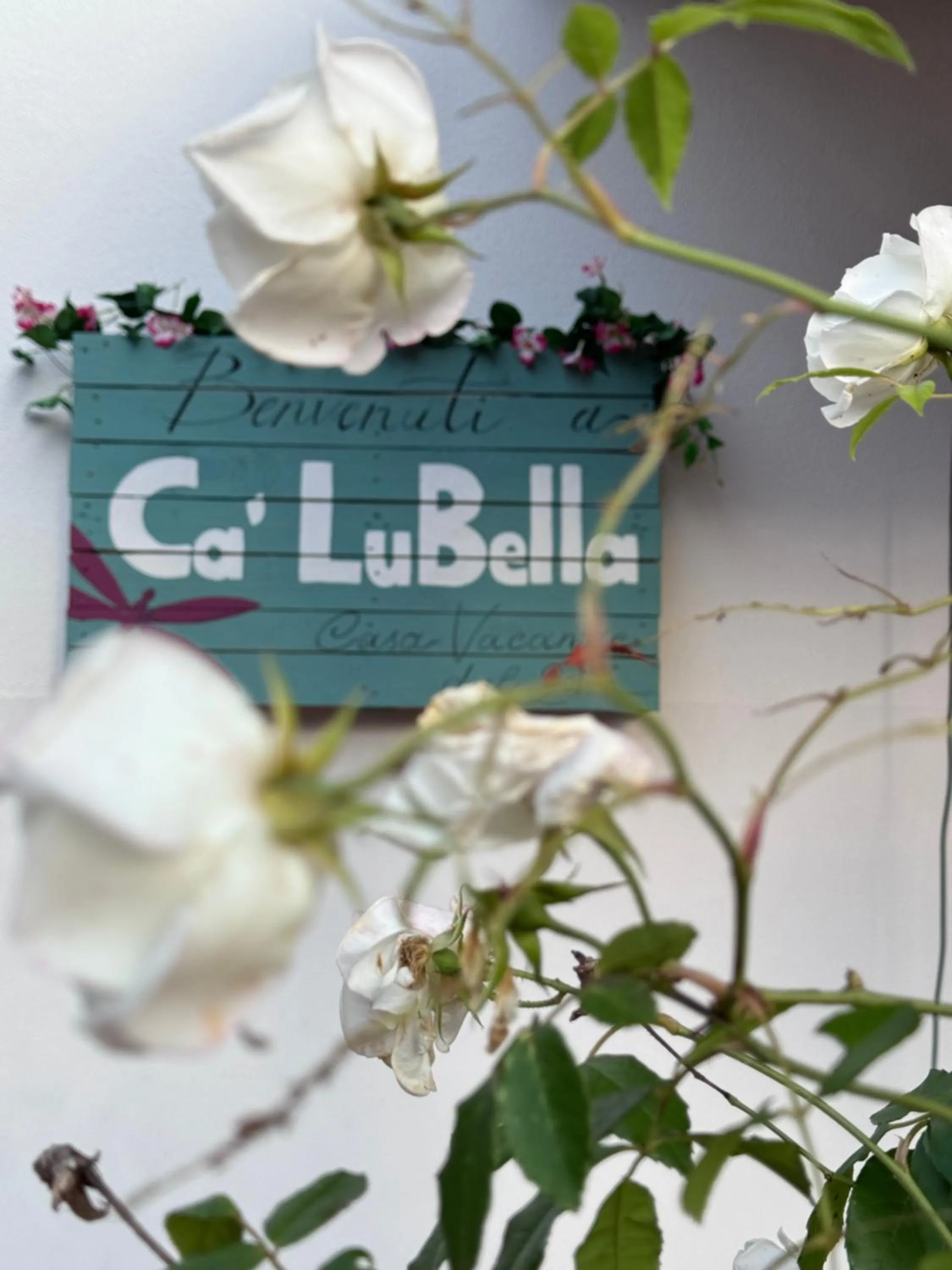 Property building in Ca LuBella