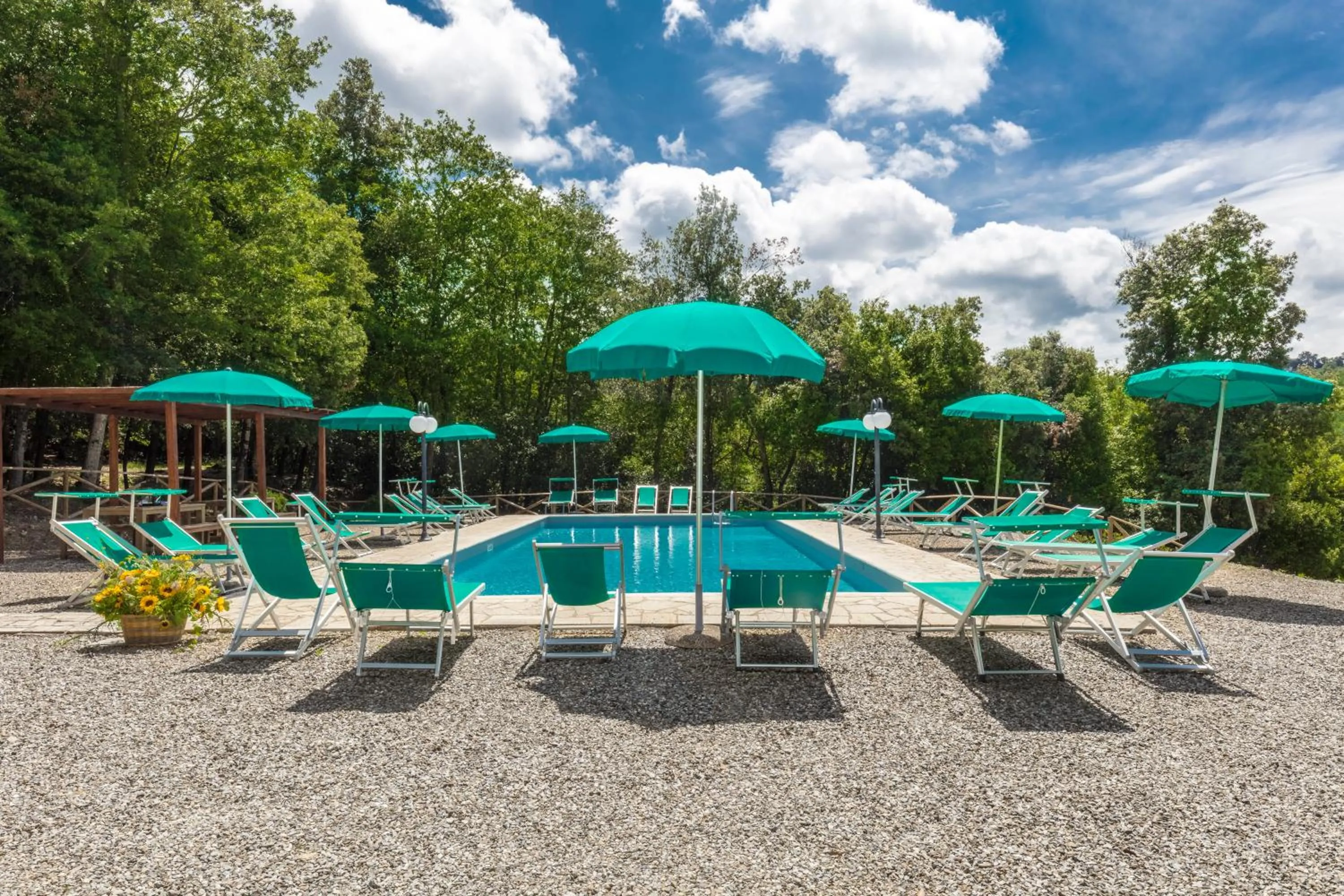 Swimming pool in Tenuta della Selva