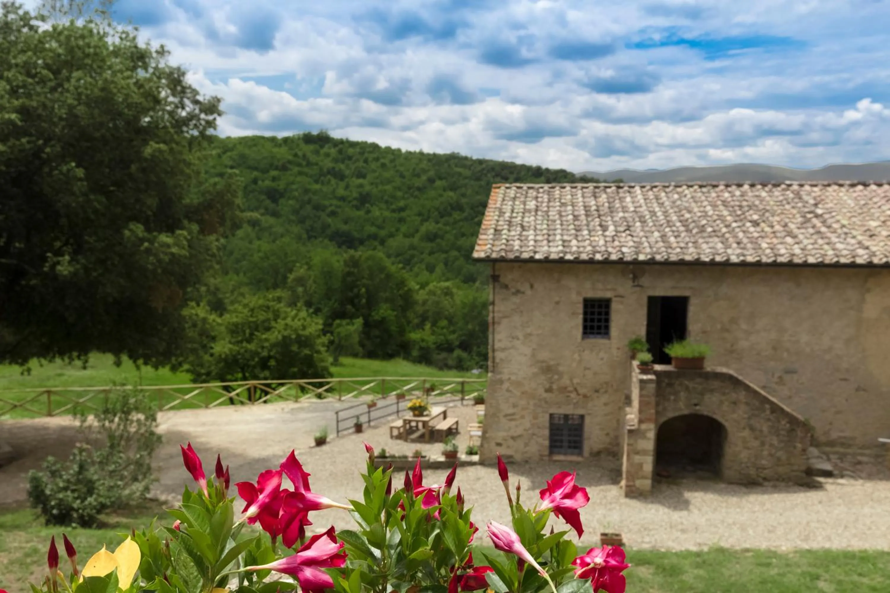 Patio in Tenuta della Selva