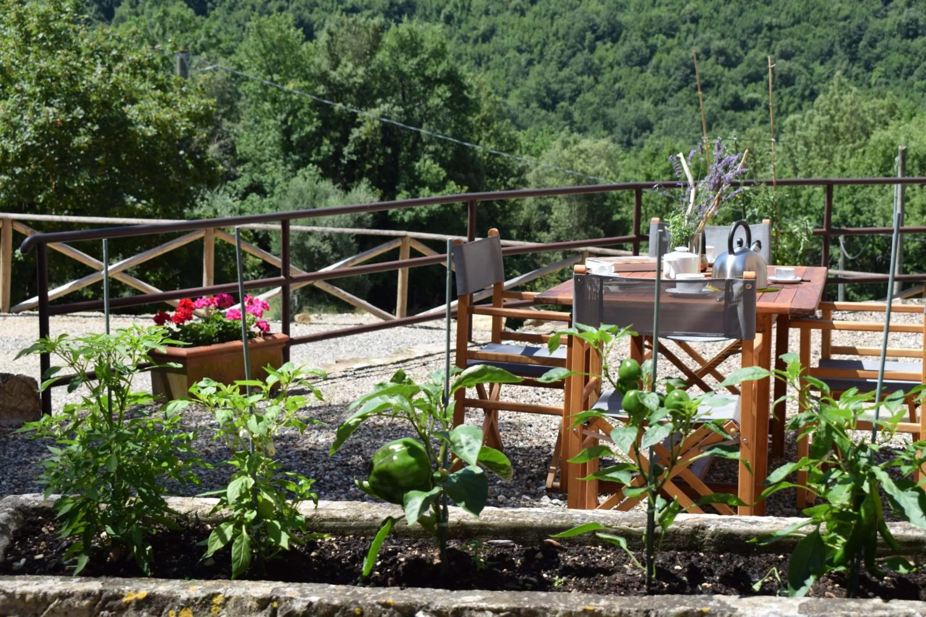 Garden in Tenuta della Selva