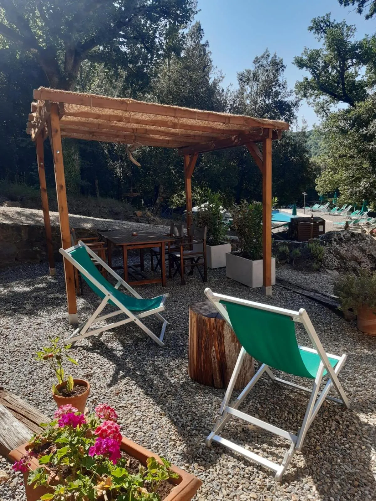 Pool view in Tenuta della Selva