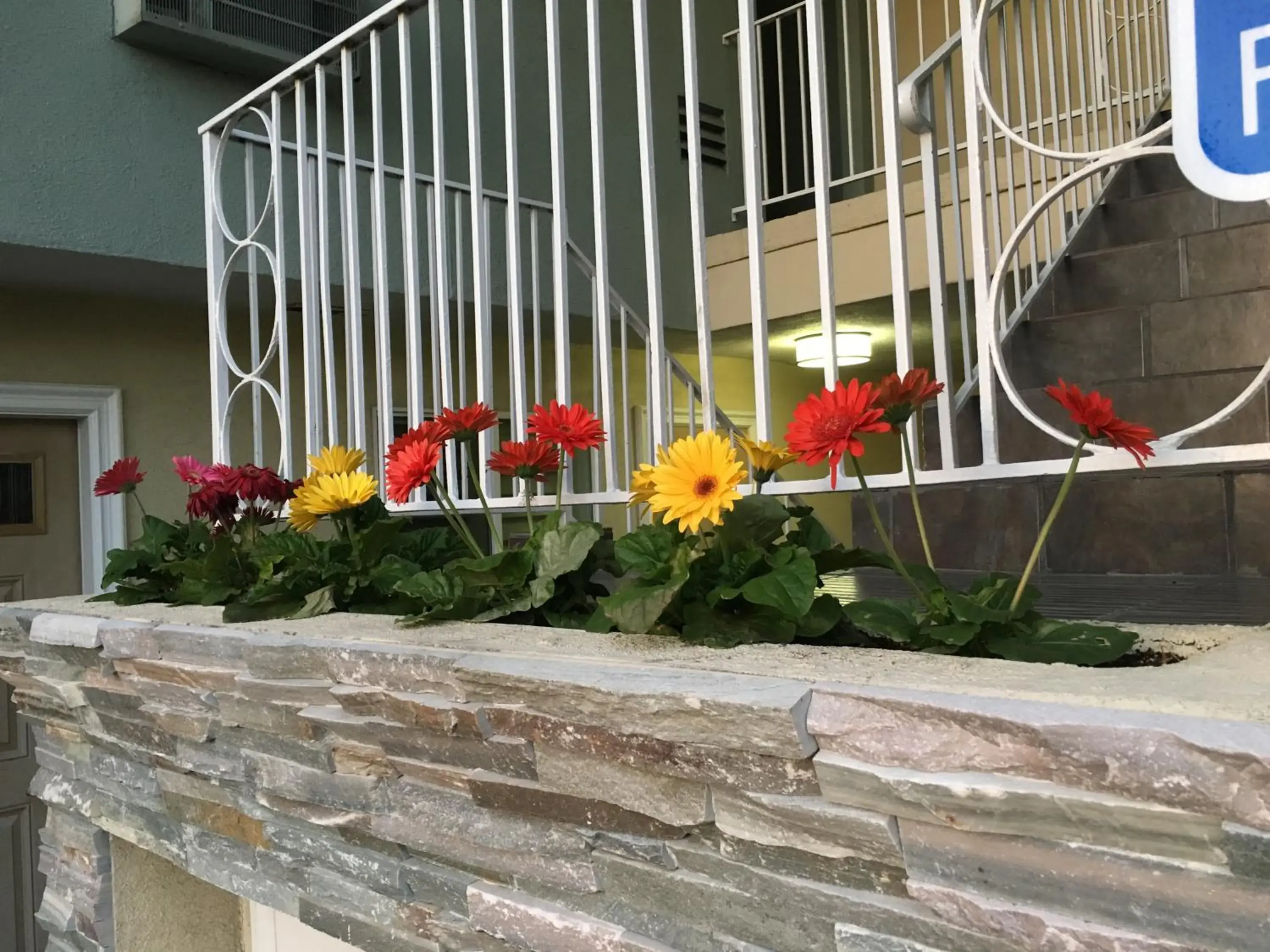 Property building in Little Inn By The Bay Newport Beach Hotel Property building in Little Inn By The Bay Newport Beach Hotel