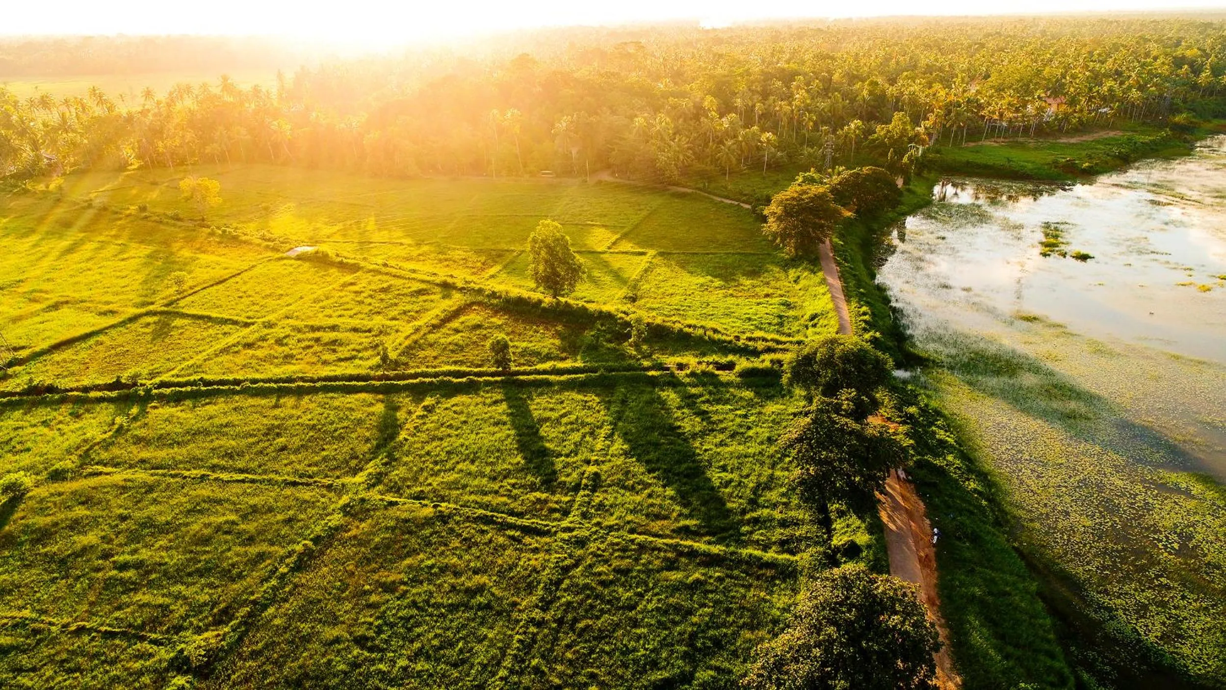 Natural landscape in The Notary's House