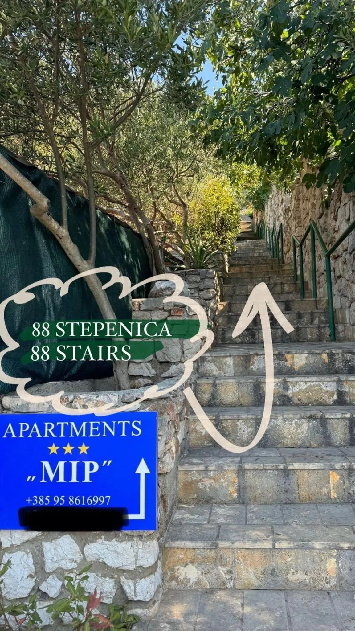 Apartment MIP