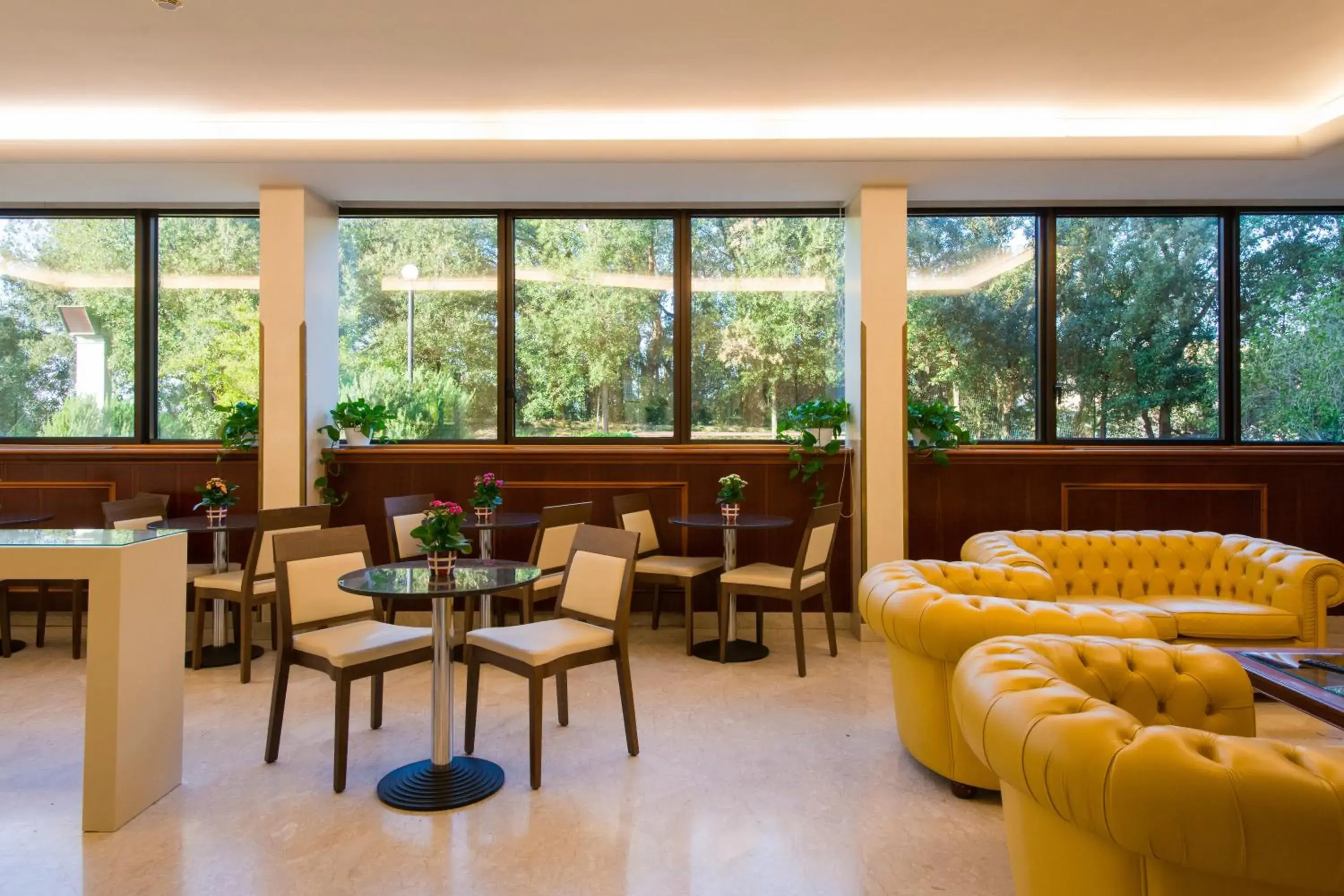 Lounge or bar in Hotel The Brand Lounge or bar in Hotel The Brand