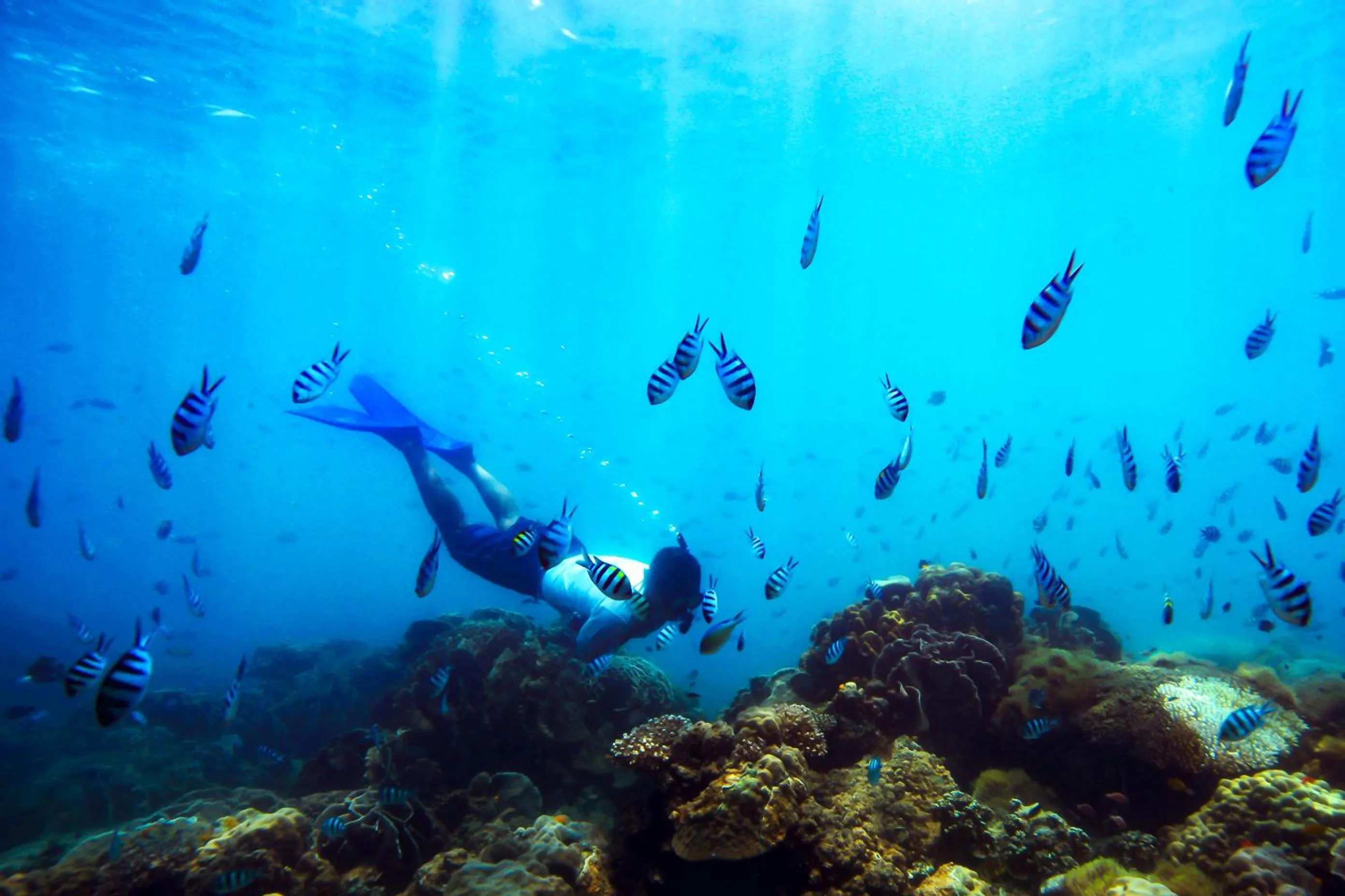 Activities in Six Senses Ninh Van Bay