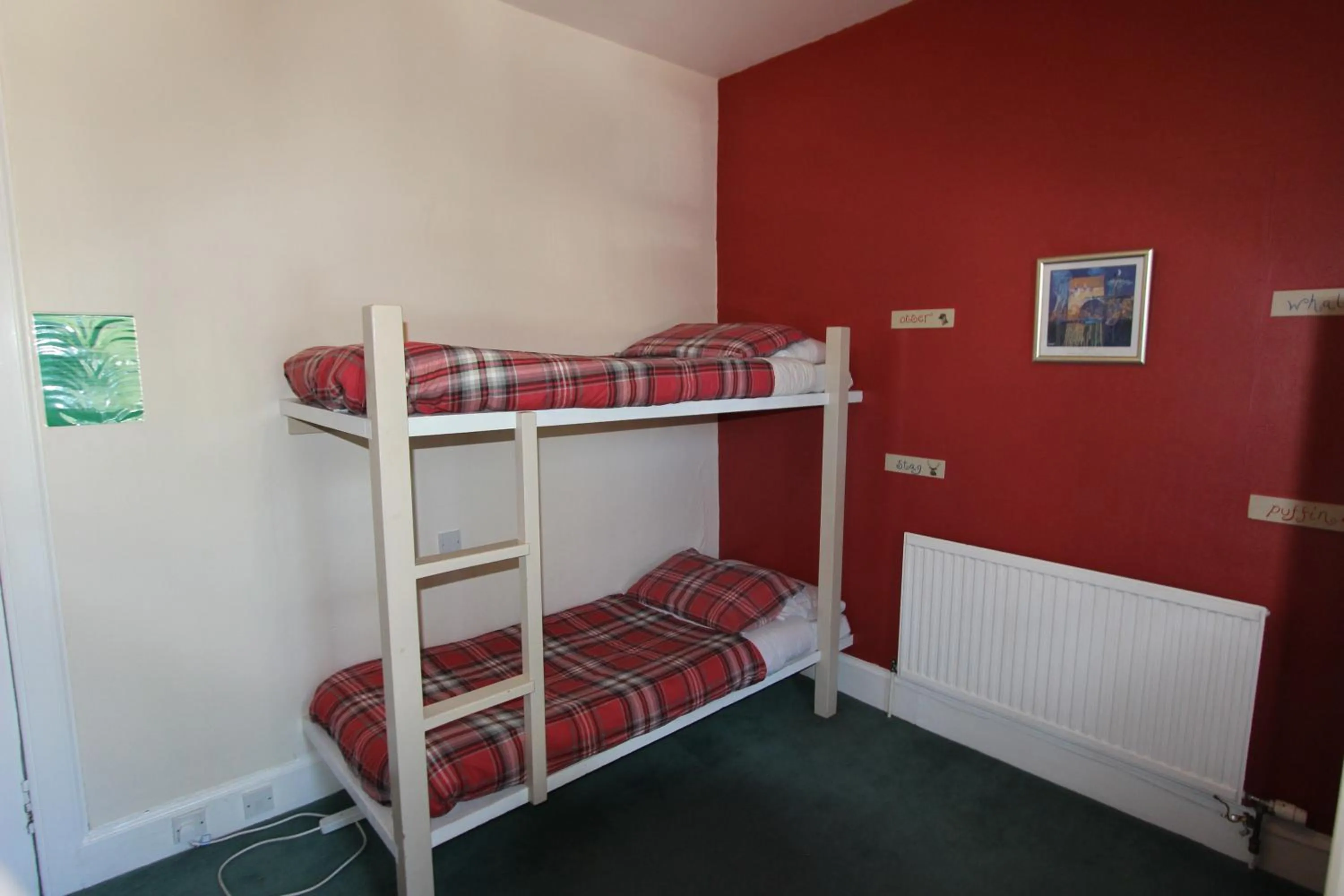 Bed in 6-Bed Male Dormitory Room in Pitlochry Backpackers