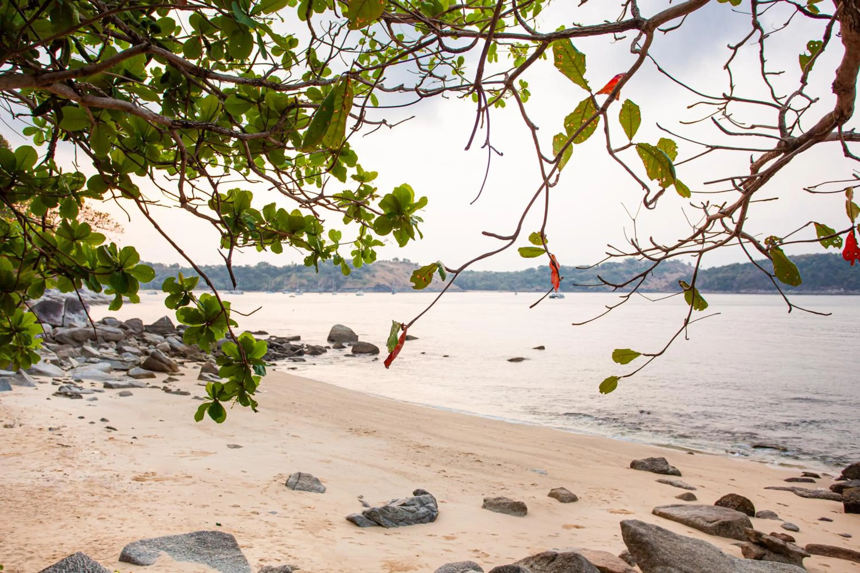 Beach in Baan Krating Phuket Resort -SHA Plus