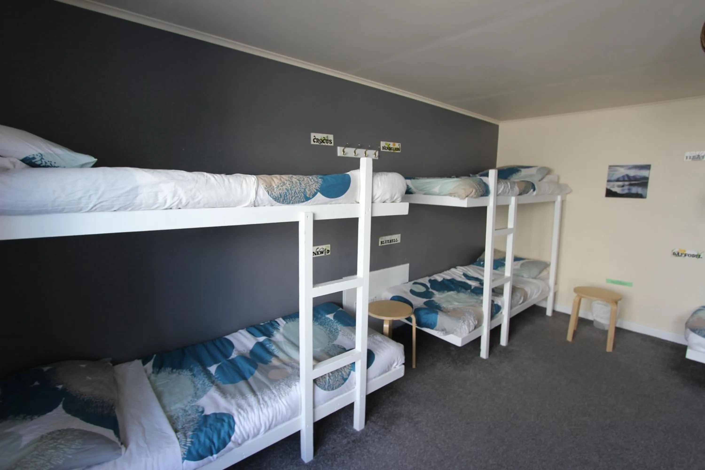 Bed in 8-Bed Mixed Dormitory Room in Skye Backpackers