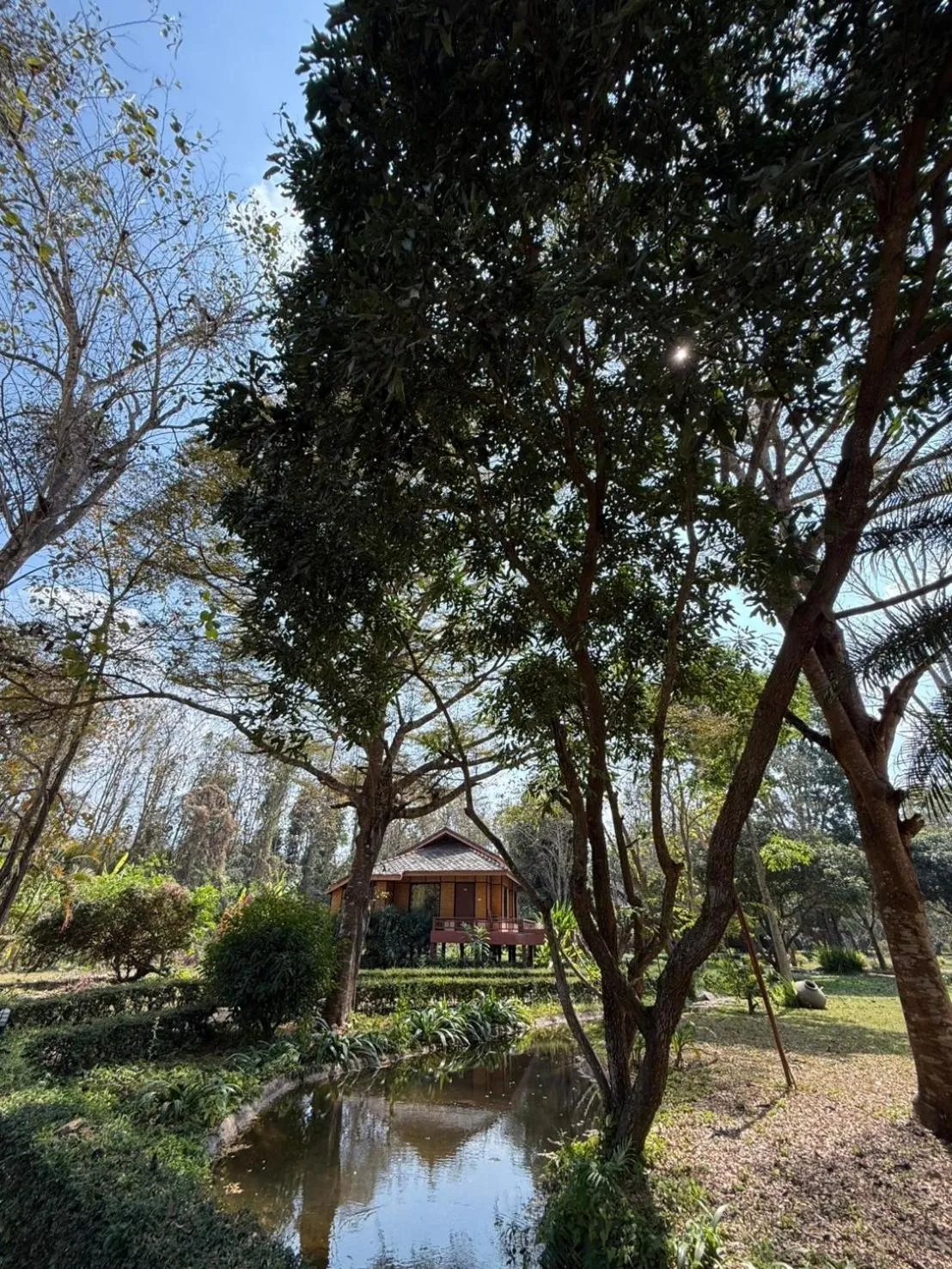 Natural landscape in Baan Krating Pai Resort - SHA Plus