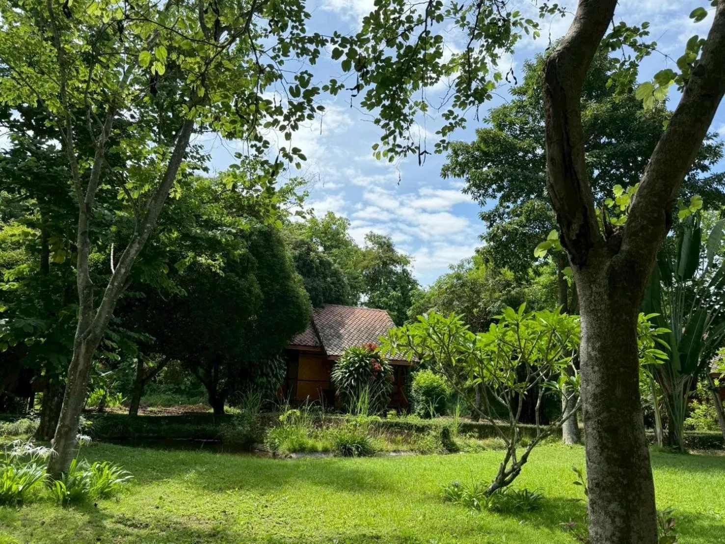 Garden in Baan Krating Pai Resort - SHA Plus