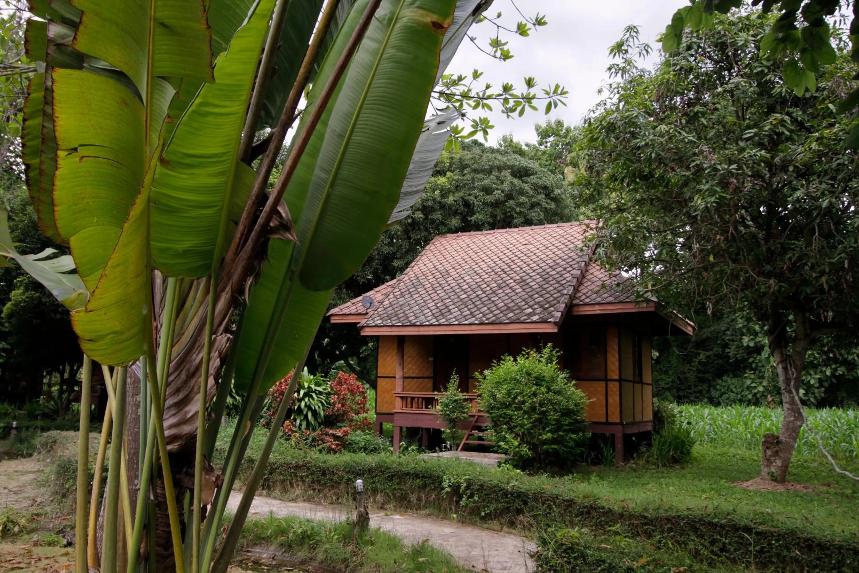 Property building in Baan Krating Pai Resort - SHA Plus