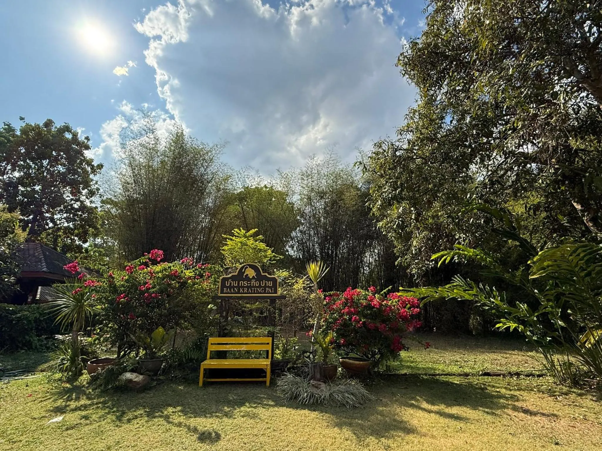 Natural landscape in Baan Krating Pai Resort - SHA Plus