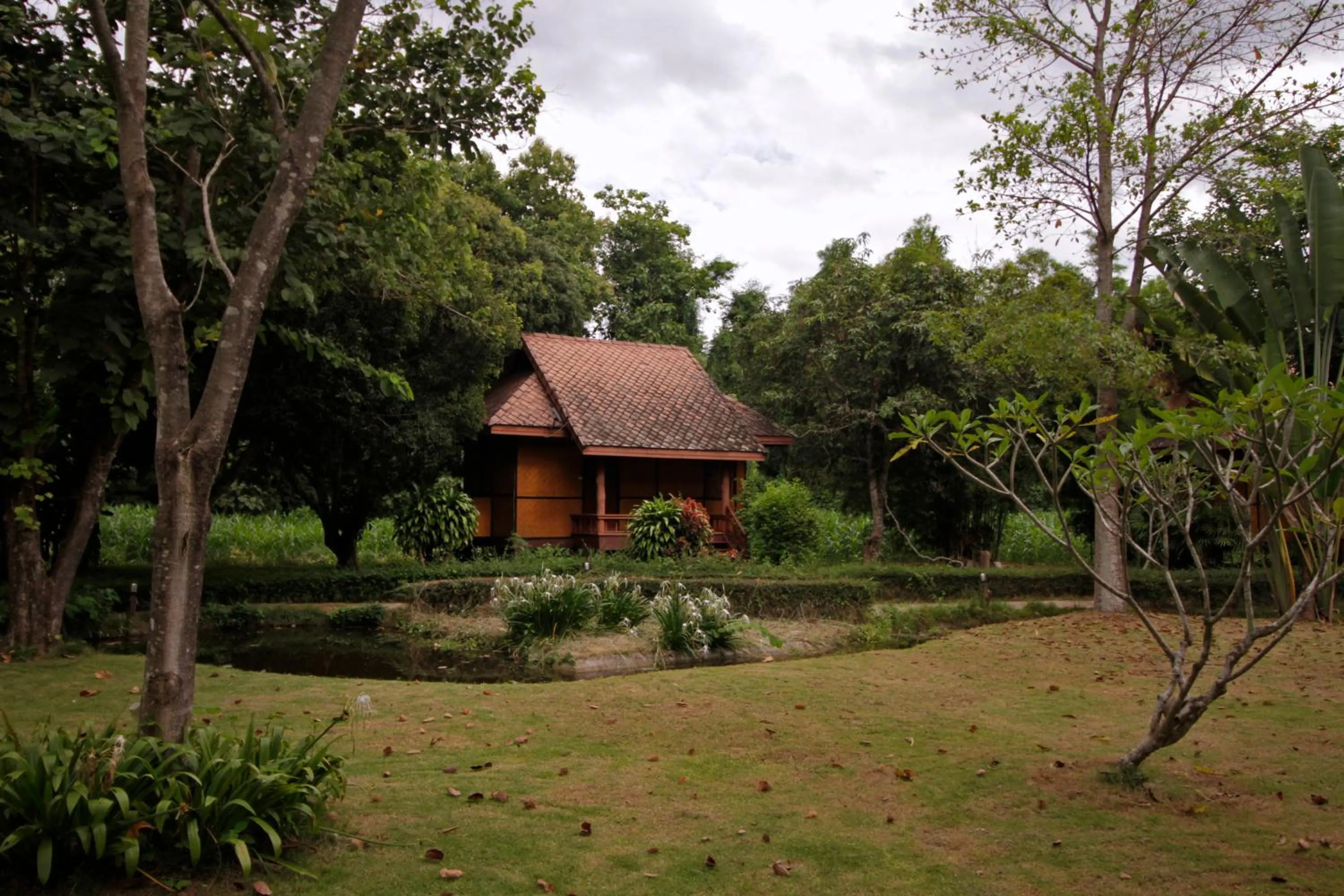 Property building in Baan Krating Pai Resort - SHA Plus