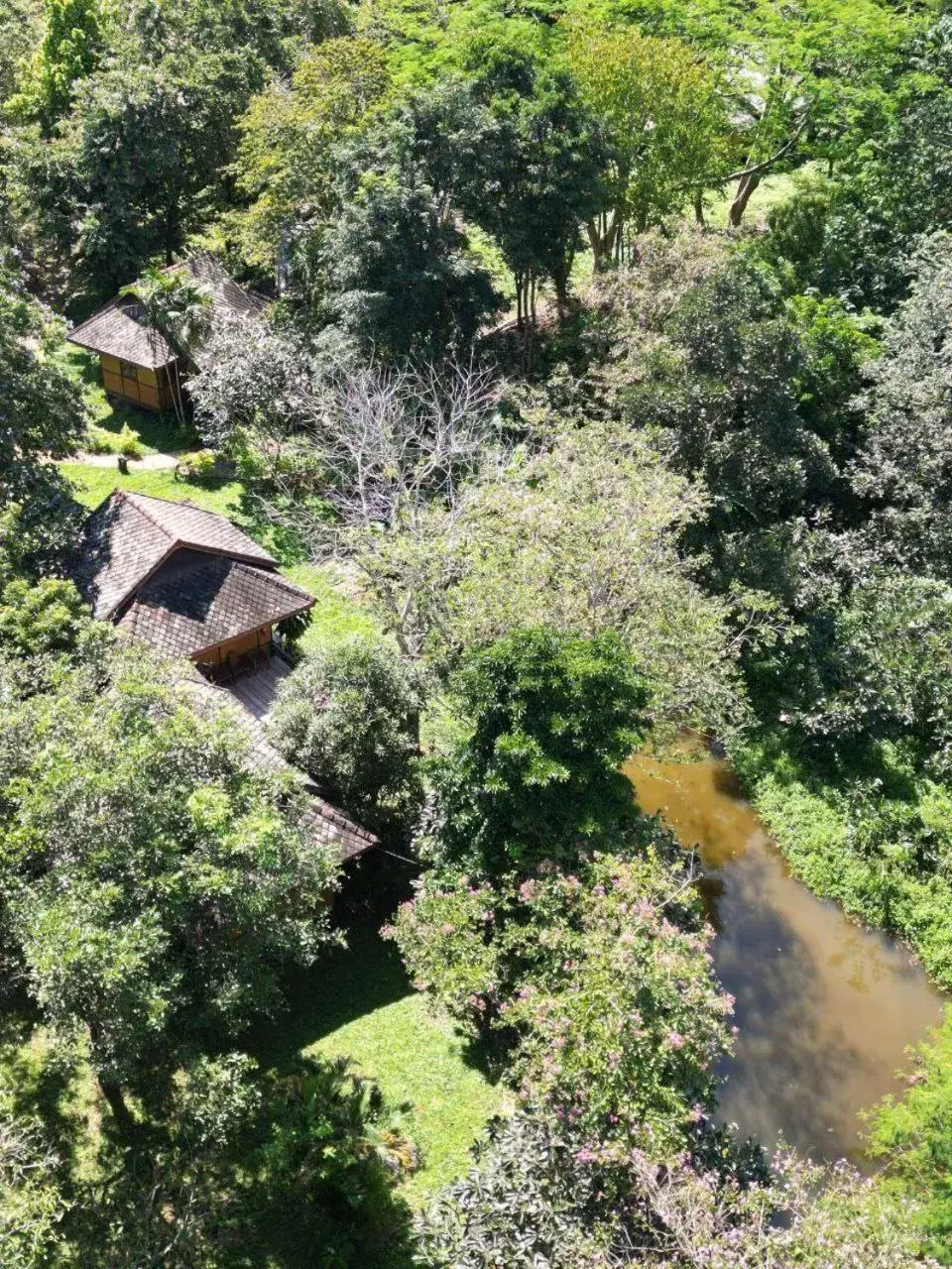 Swimming pool in Baan Krating Pai Resort - SHA Plus Swimming pool in Baan Krating Pai Resort - SHA Plus